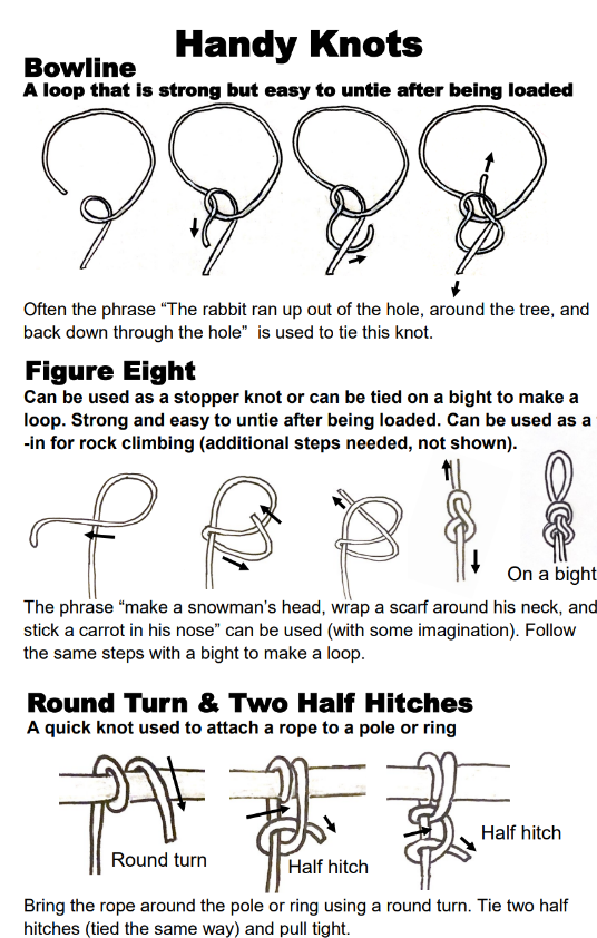 Knots for Beginners 