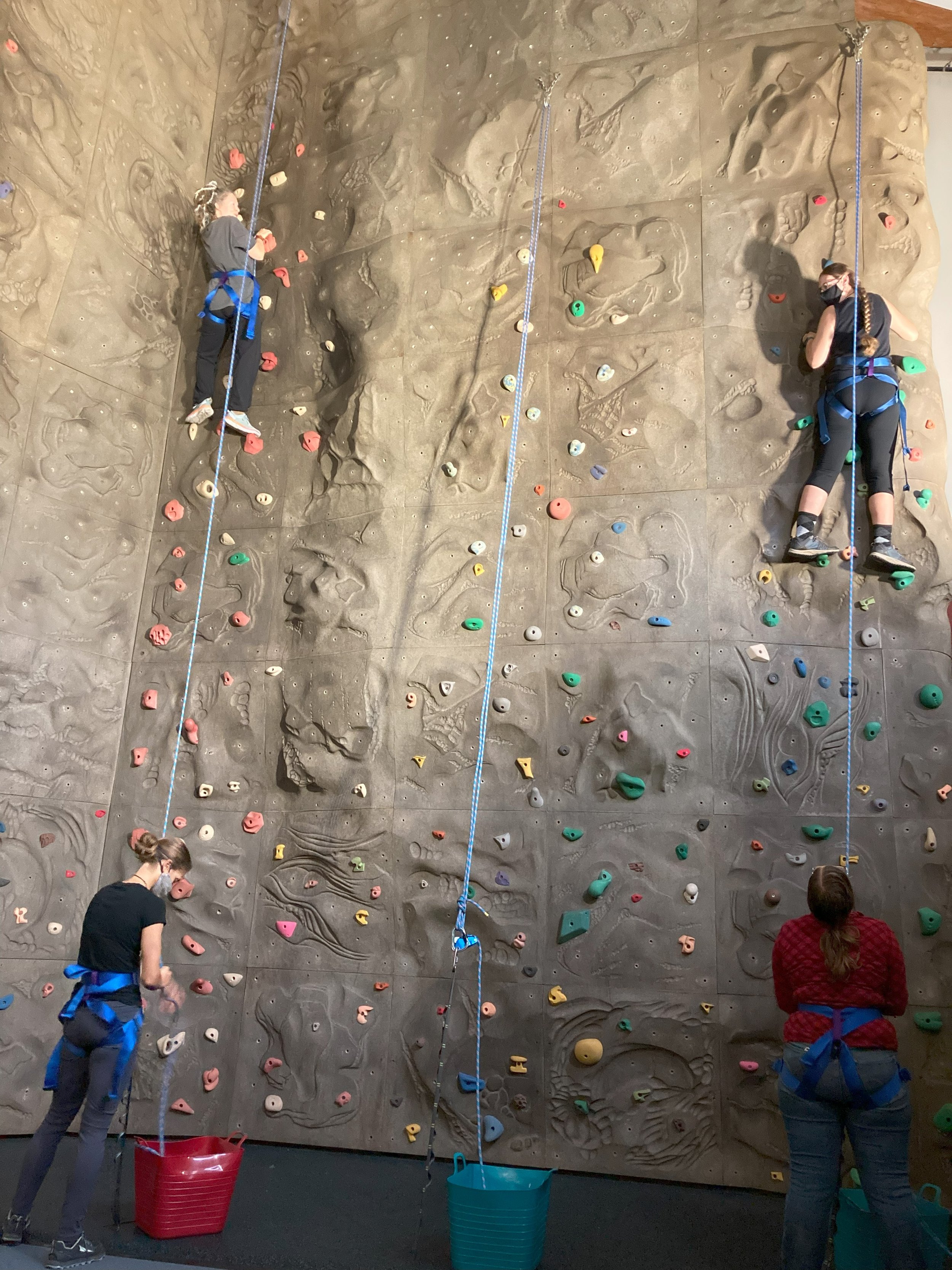 Four women are indoor rock climbing on a textured wall with colorful handholds and footholds. Two are climbing up and two are belaying from the bottom.