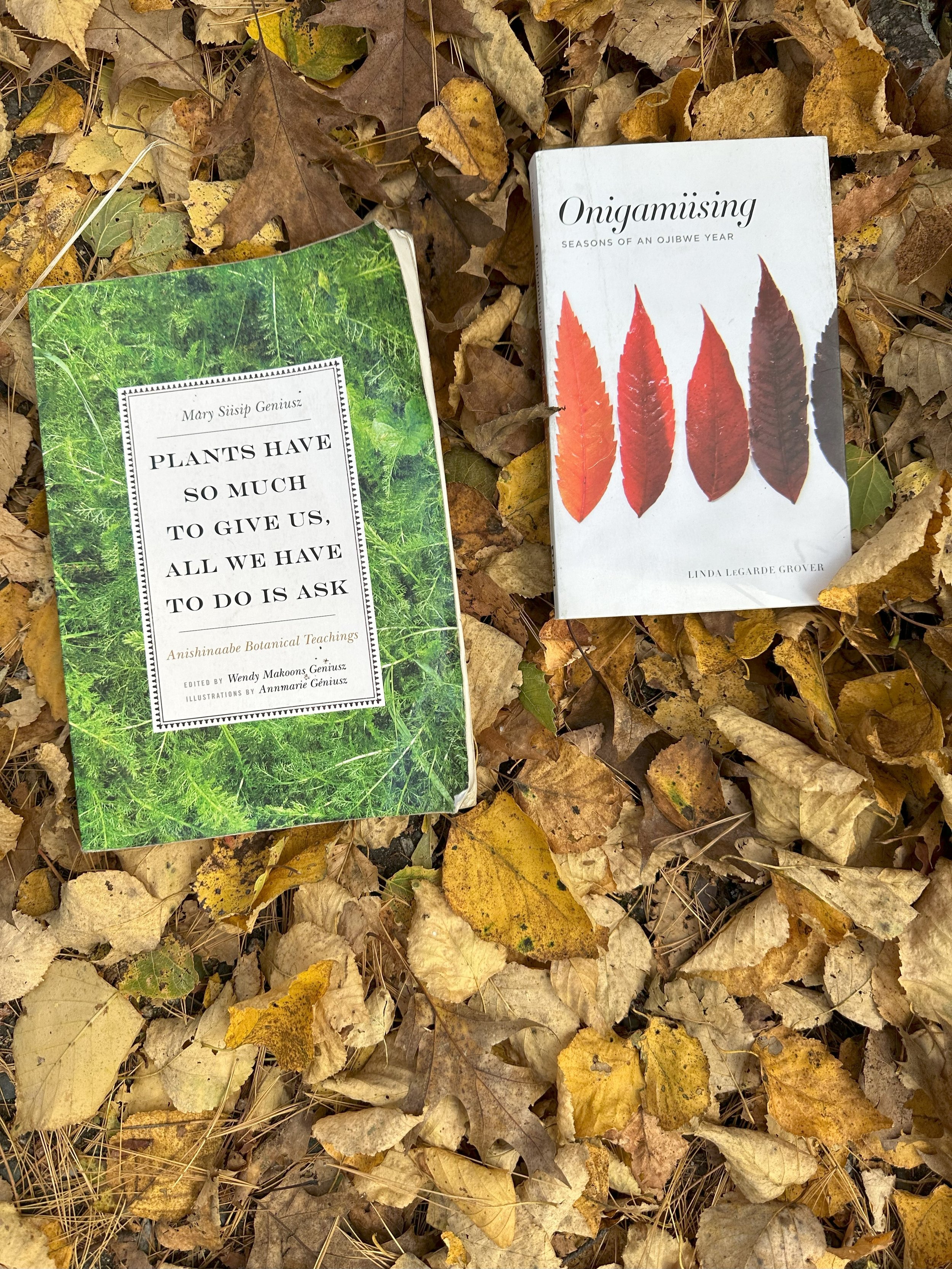 Two books on fallen autumn leaves. One has a green cover with a quote about plants and title "Plants have so much to give us, all we have to do is ask", and the other has an image of four different colored leaves with the title "Onigamiising".