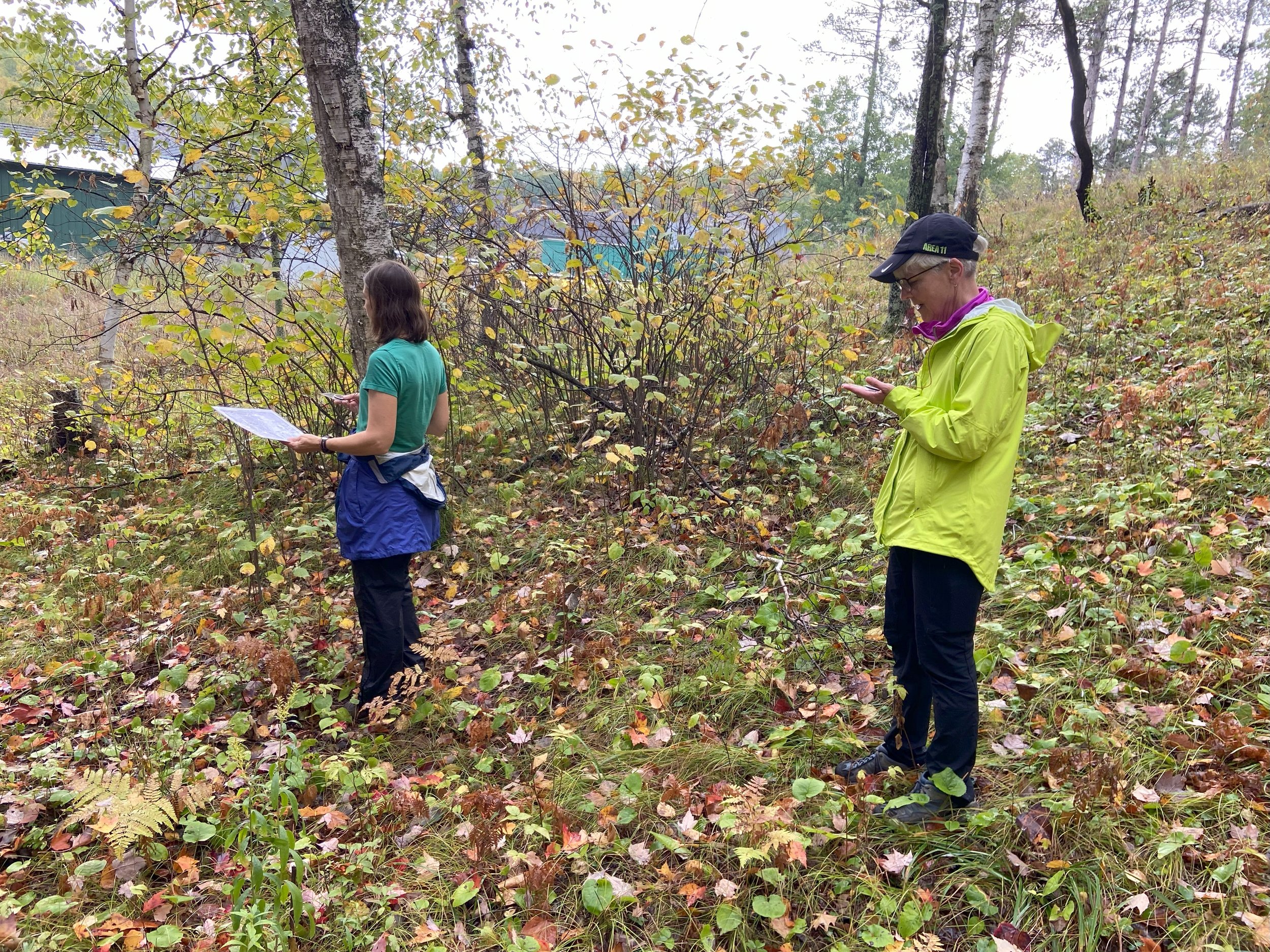 Two people standing in a forest, looking at maps, with autumn leaves on the ground and trees.