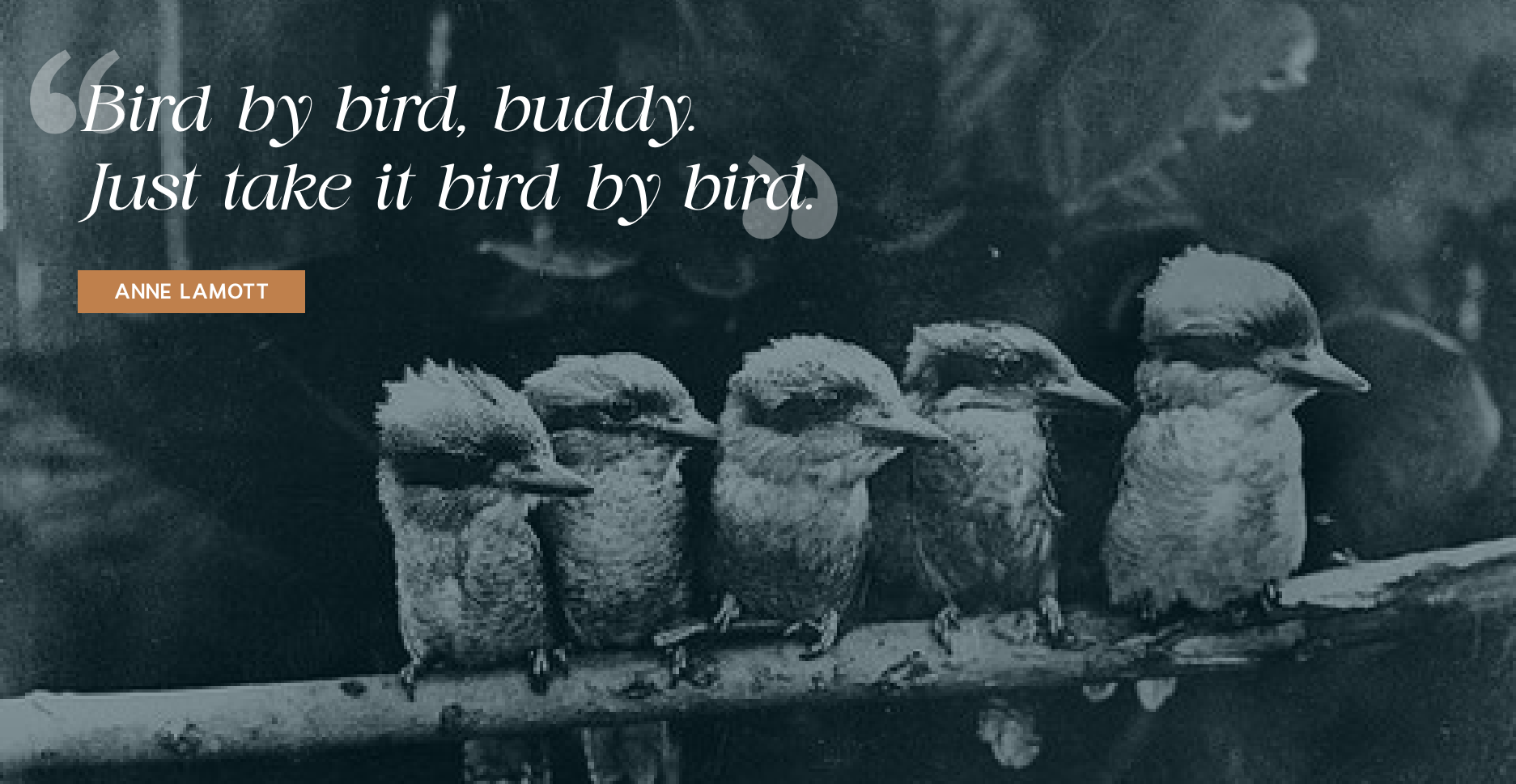 Starting in the Middle: Why Your Financial Story Doesn't Need a Perfect Beginning