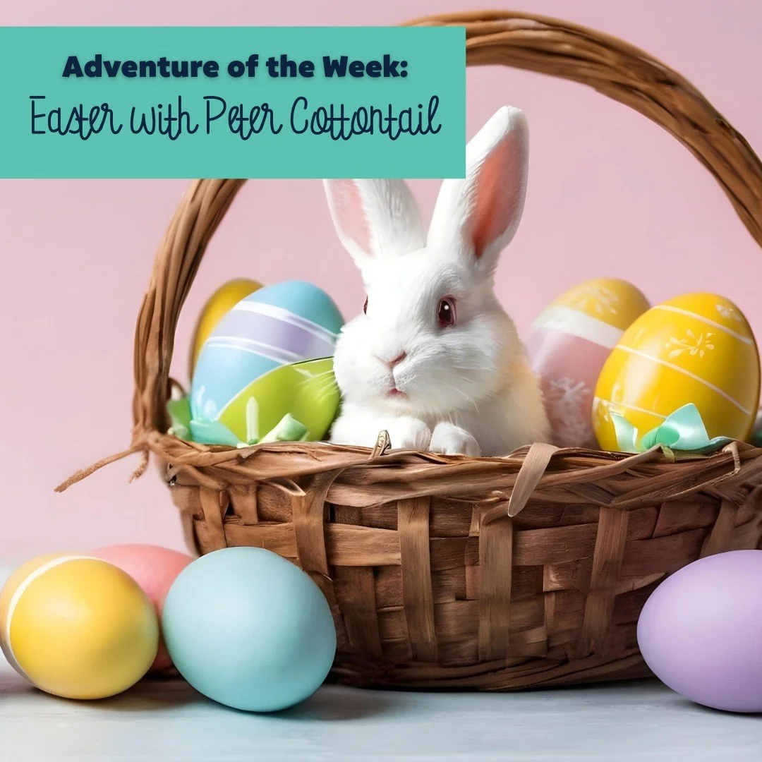 Our adventure of the week in #FitnessStars is&hellip; Easter with Peter Cottontail! 🐰🌷

#sngintl #stretchnggrow #stretchnggrowinternational #fitnessforkids #springmovement #preschoolenrichment #earlychildhood #kidsmovement #franchiseopportunity