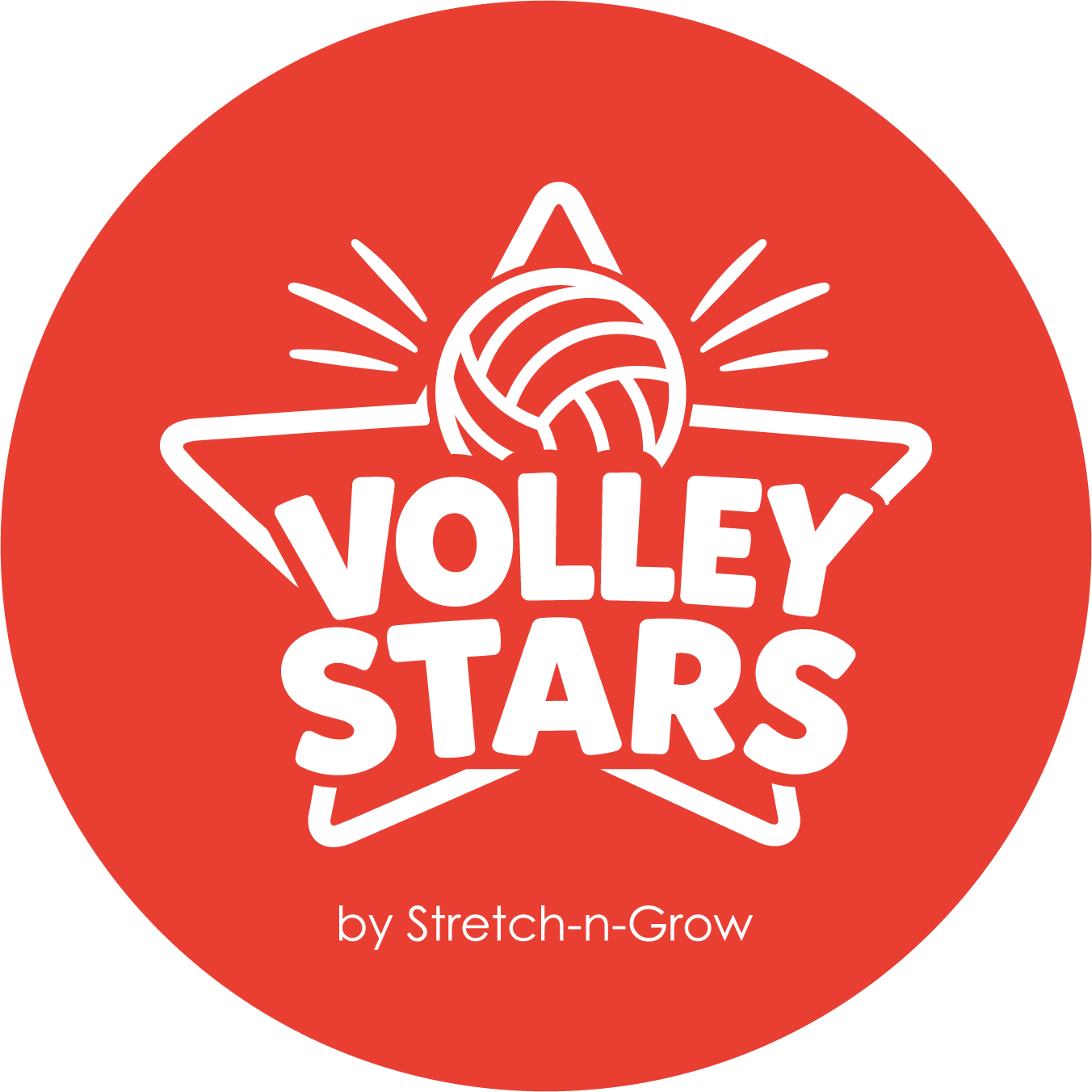 Volley Stars Logo
