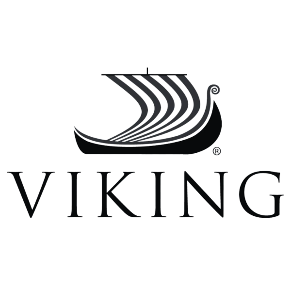 Copy of Viking 1.png