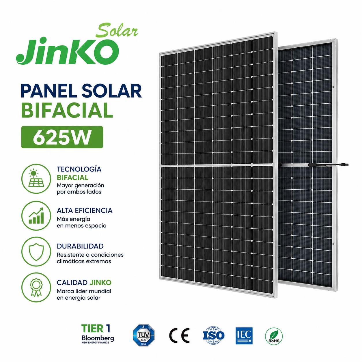 ChatGPT Image 12 ago 2026, 12_27_02 p.m..png
