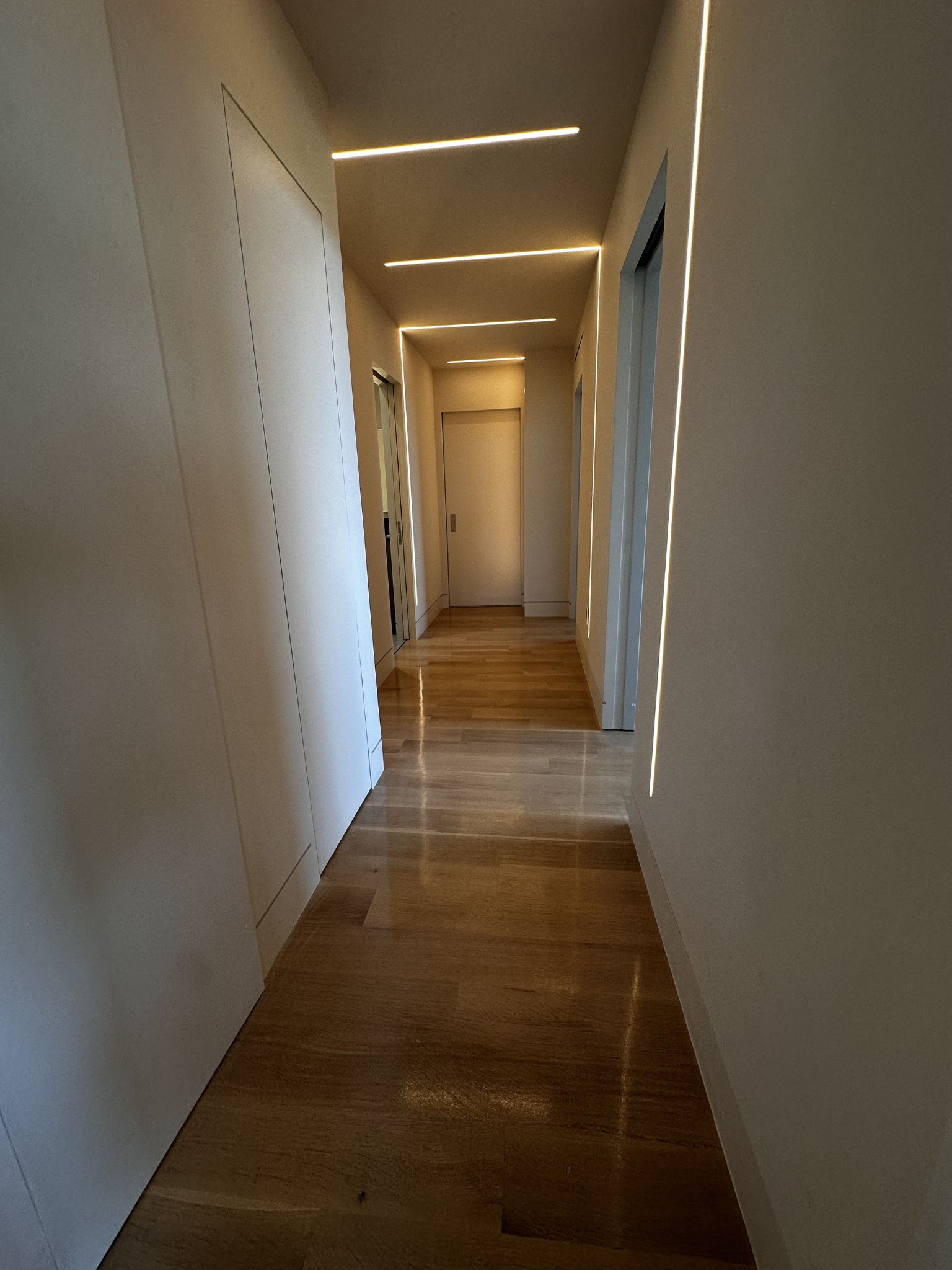 Untitled design (71).png