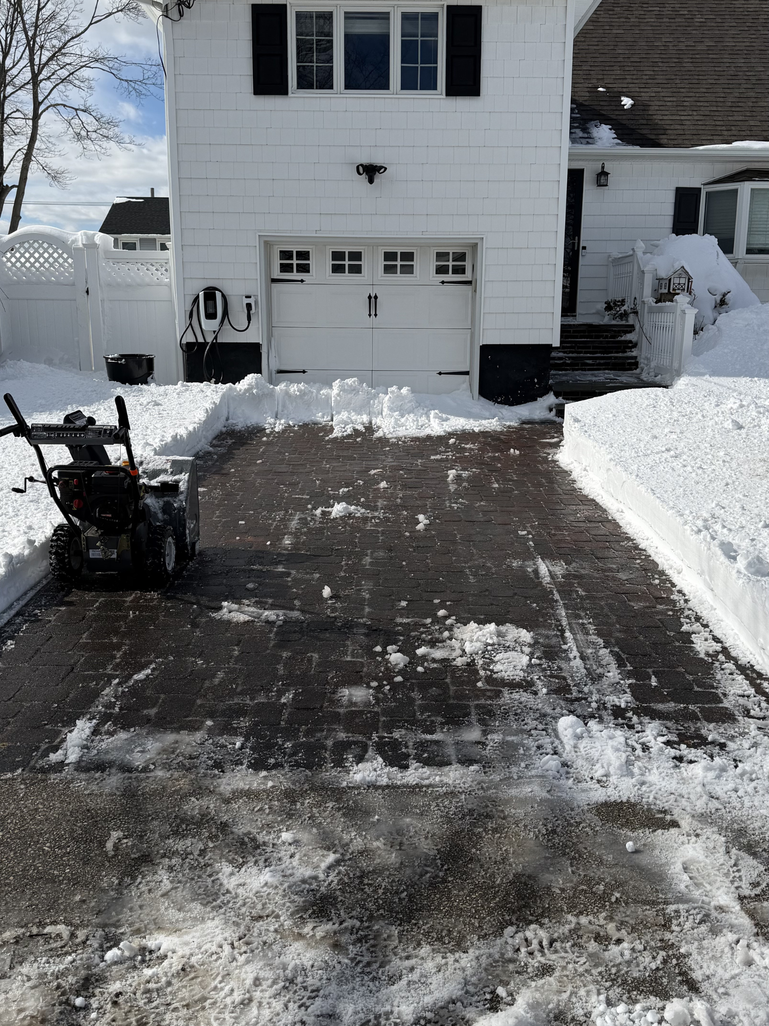 Untitled design (79).png