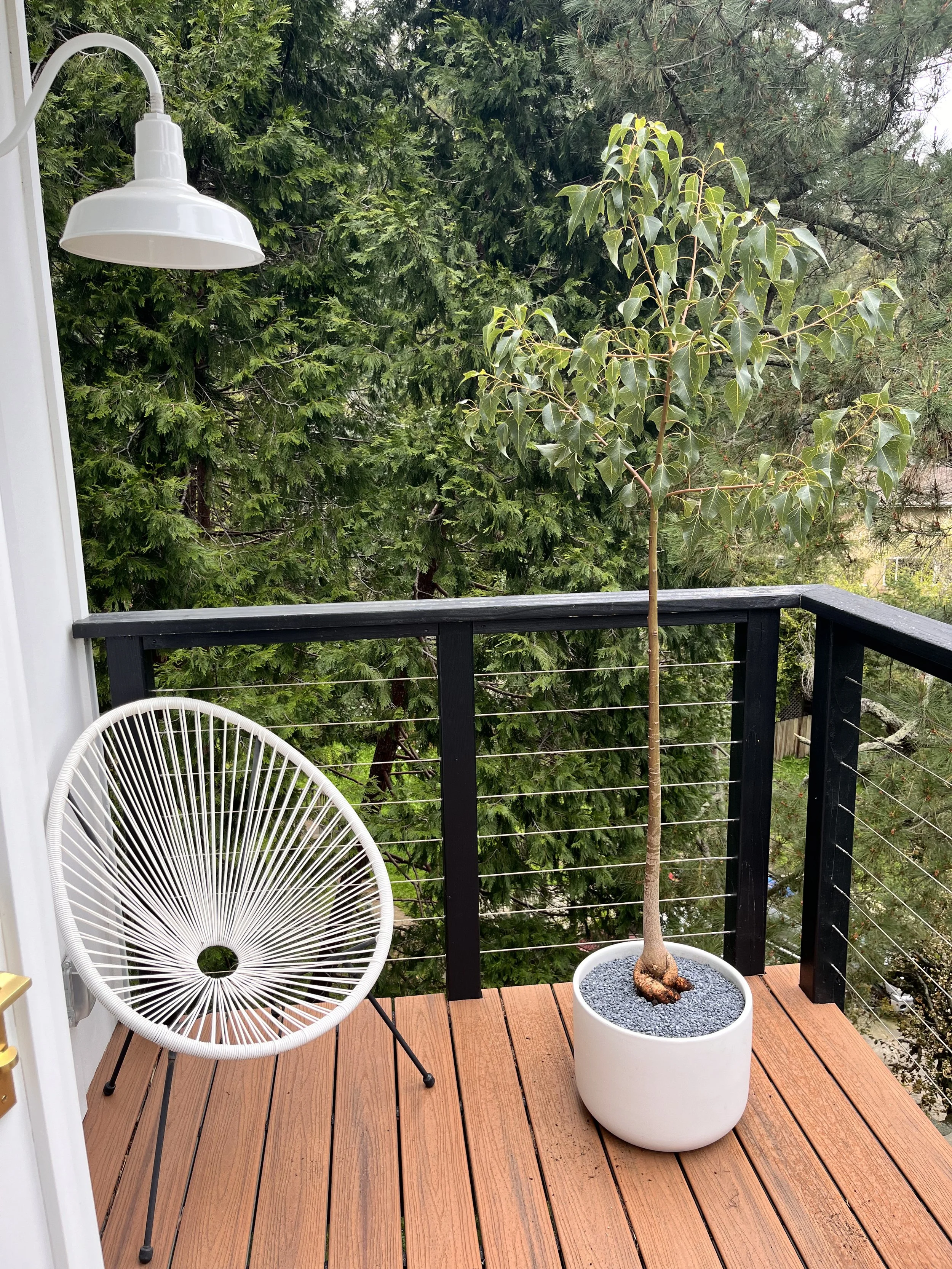 A small balcony with a wooden floor, a white modern chair, a potted tree, and a white wall-mounted lamp. Green trees are visible in the background.