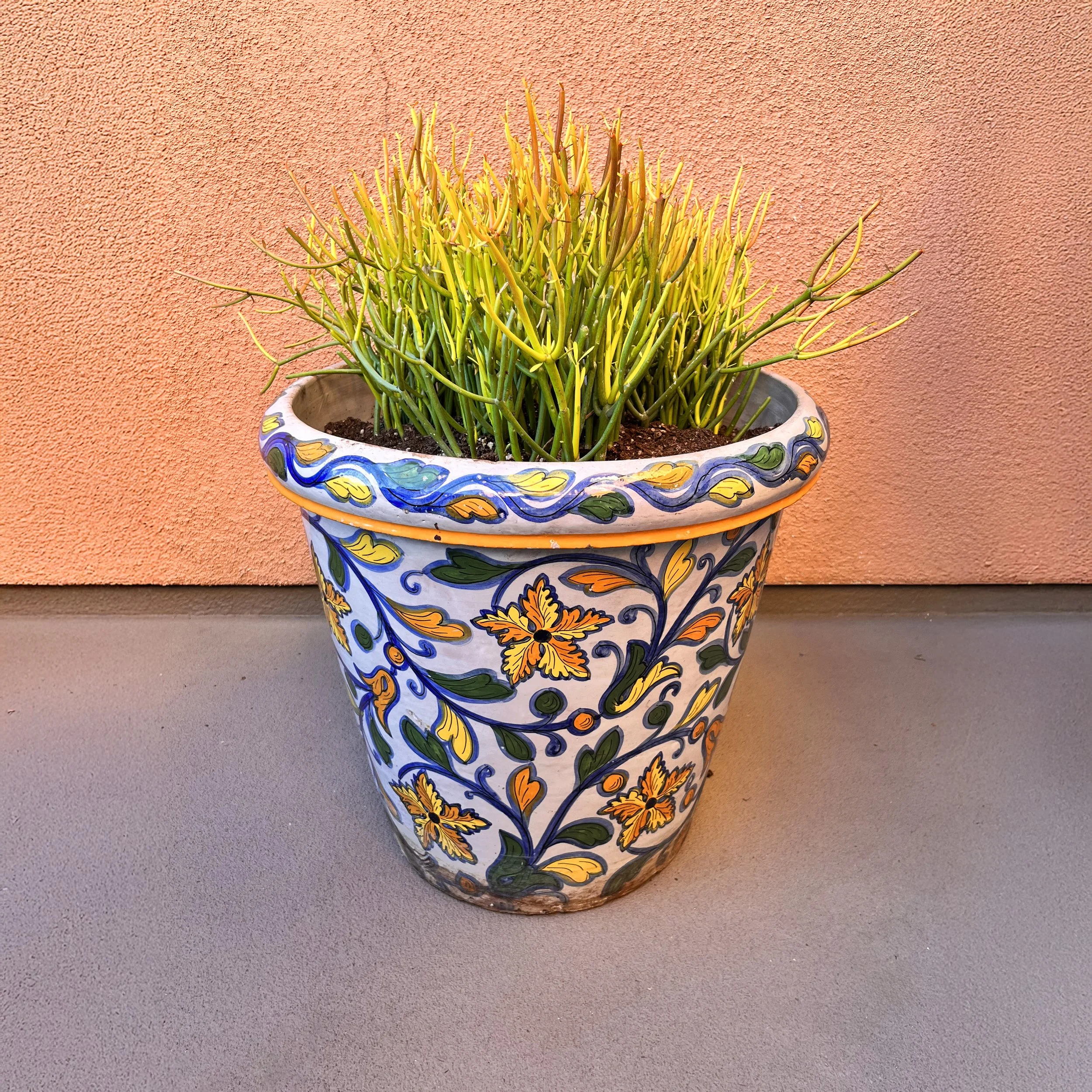 Decorative ceramic flower pot with yellow-green plant against a pink-orange wall.