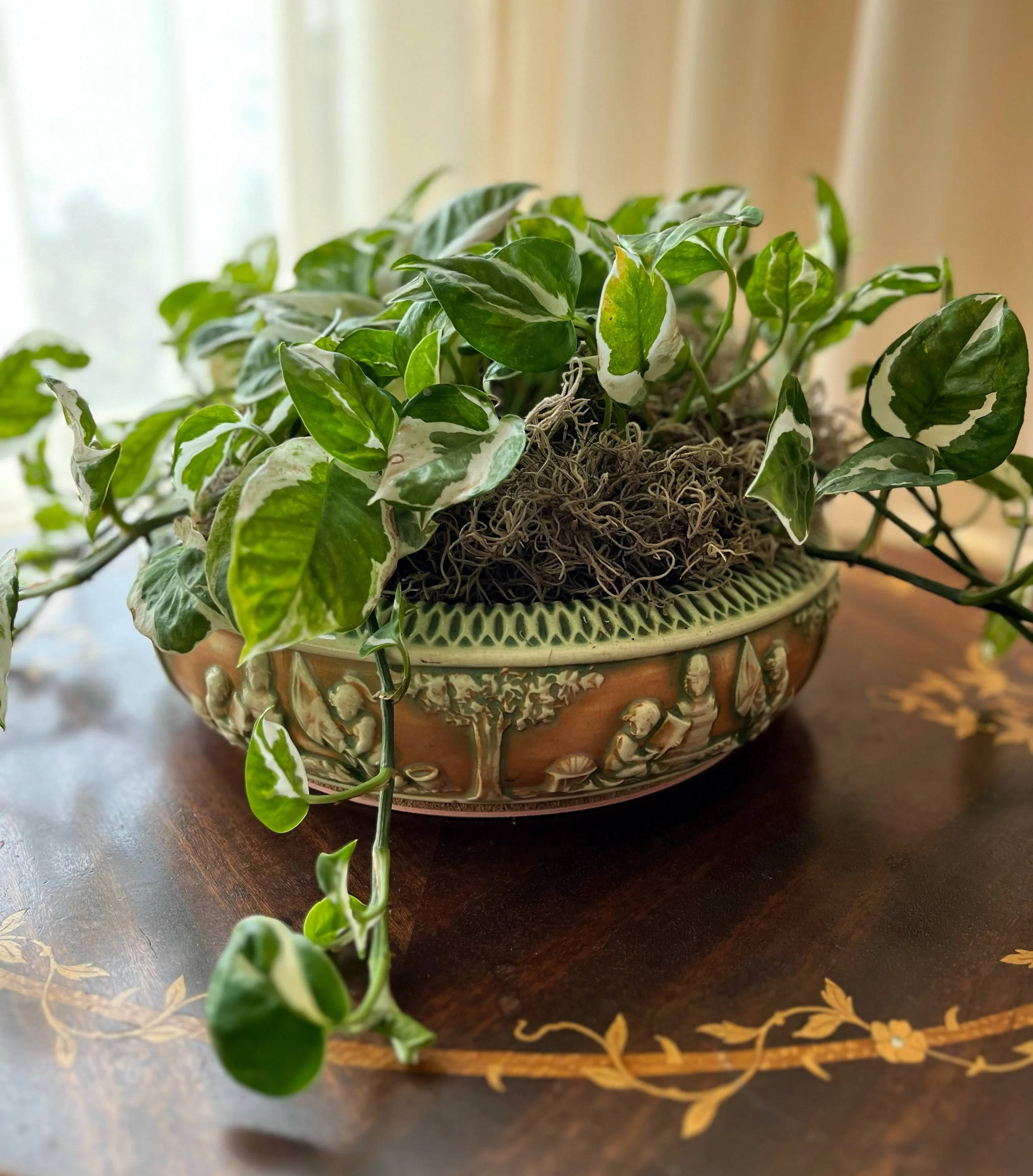 A potted variegated pothos plant on a wooden table with a decorative floral pattern.