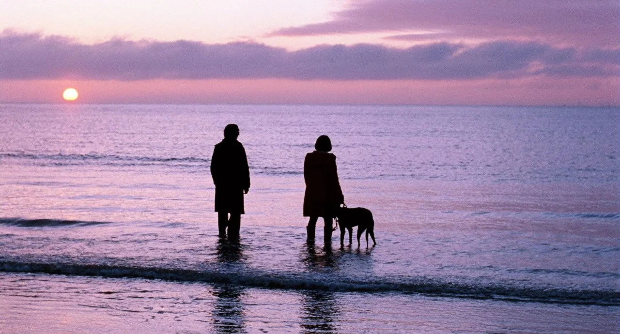 At the seashore 🌊🎞💖
 &mdash; Submarine (2010, Richard Ayoade)
&mdash;The Tree of Life (2011, Terrence Malick)
&mdash;Moonlight (2016, Barry Jenkins) &mdash;Ivan&rsquo;s Childhood (1962, Andrei Tarkovsky) &mdash;The 400 Blows (1959, Fran&ccedil;ois
