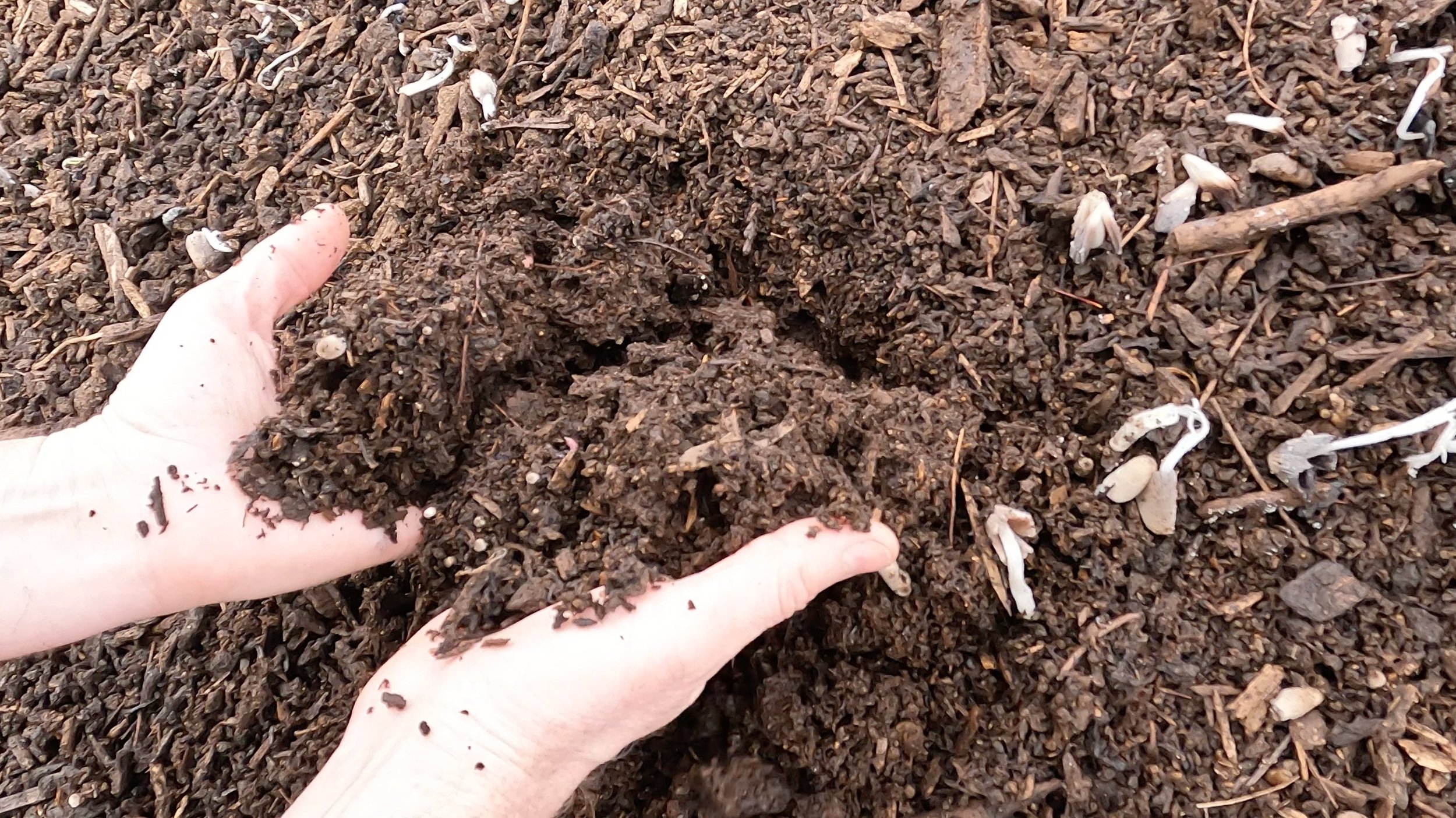 Compost2.jpg