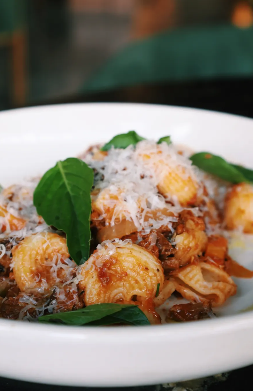 A plate of handmade pastas with fresh ground Parmesan cheese and basil on top. 