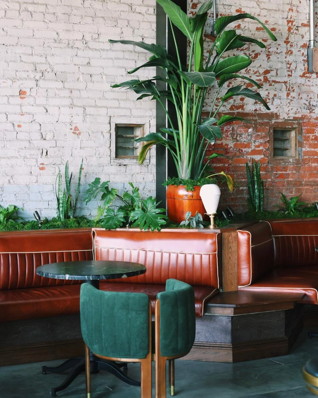 Indoor seating with a tall leafy green plant in an orange pot, brick wall background, with seating including a green chair and brown leather bench, and a small black round table.