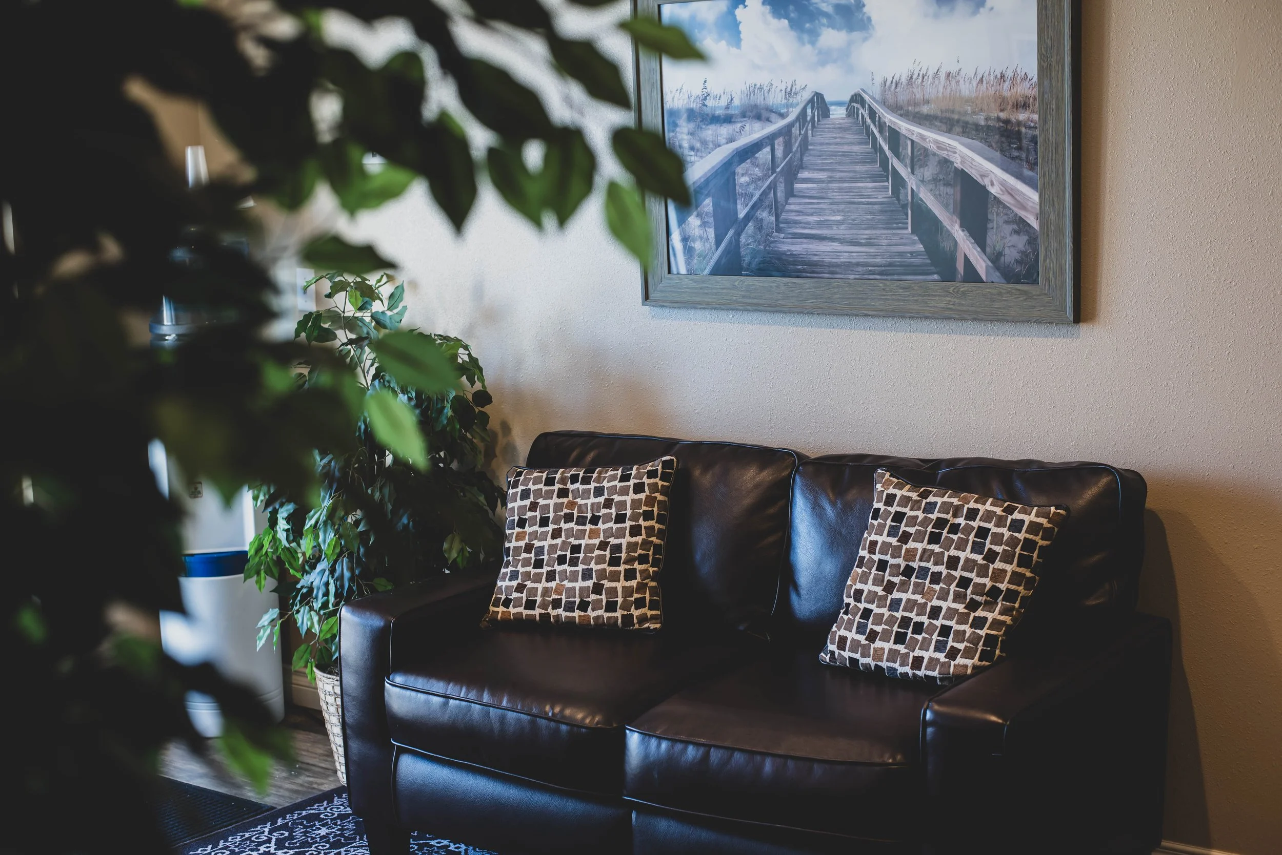 A living room with a black leather sofa adorned with patterned throw pillows, a large framed picture of a wooden bridge on the wall, a potted plant with green leaves partially obscuring the view, a patterned rug under the sofa, and a beige textured w