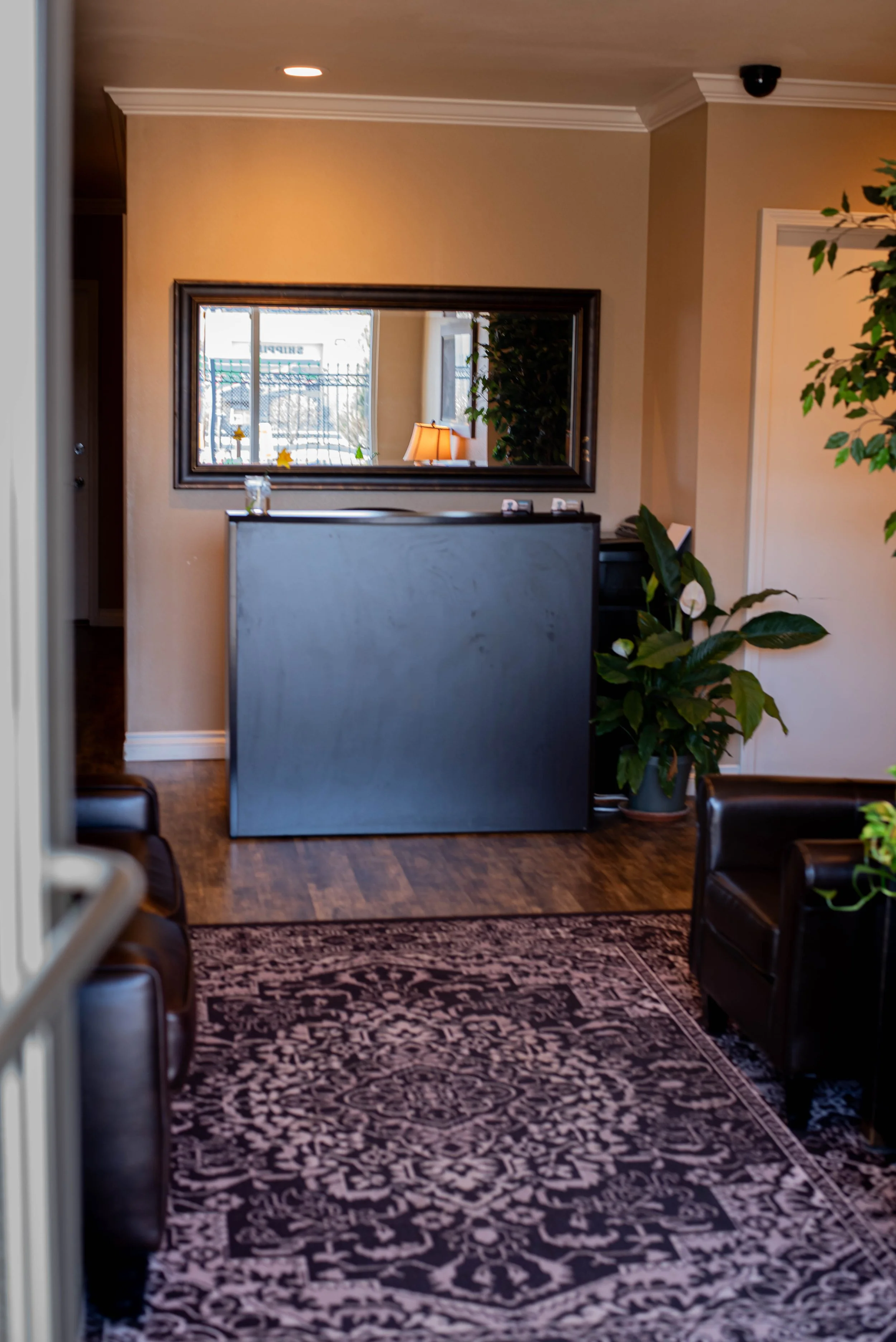 Interior of a waiting room or lobby with a large decorative rug, leather chairs, a potted plant, a mirror on the wall, and a partial view of a reception desk.