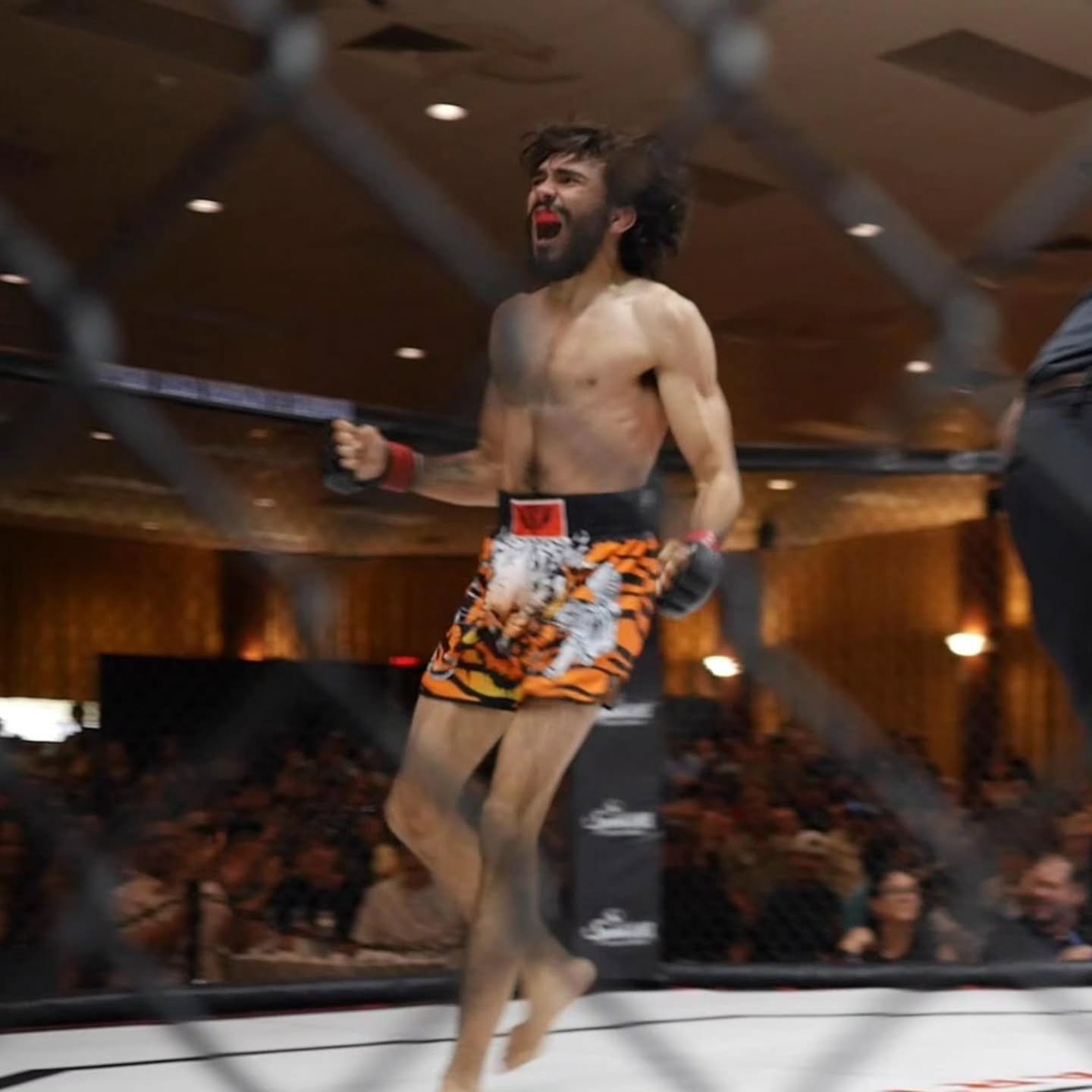 @manny_manimal with a armbar submission in round 1. (Full fight on my YouTube link in bio) 

I really like Manuel's energy. Can't wait to see his next fight 📈🥊😤🥊📈

#fighter #fightlife #mma #martialartists #martialarts #submission #armbar #grappl