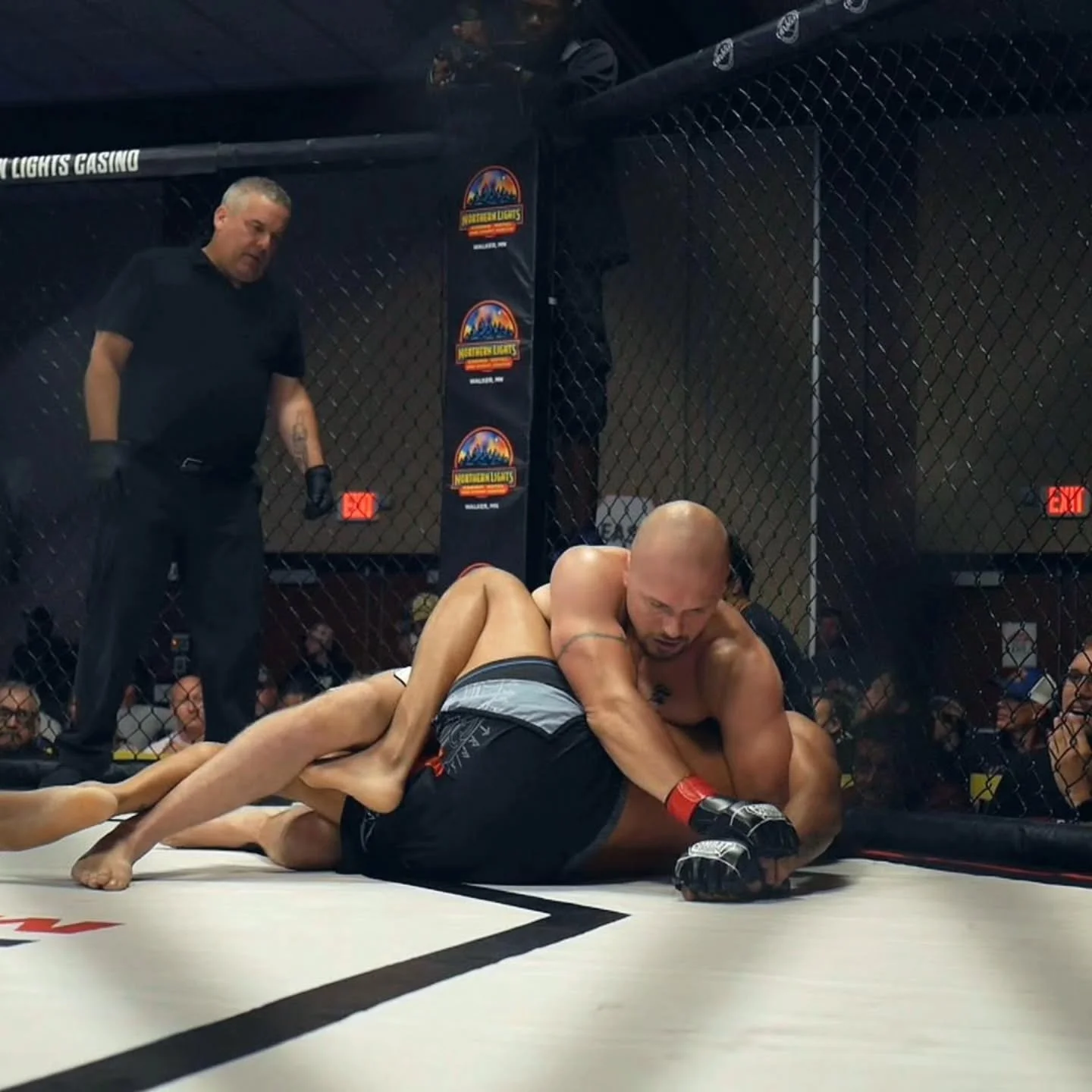 @cotymilhausen vs @dreday_ali was a great fight. Coty ended it with a beautiful straight arm Kimura in the first round (Full fight on my YouTube link in bio) 

I liked how both fighters looked on the feet. Murray had his moments in a few of the excha