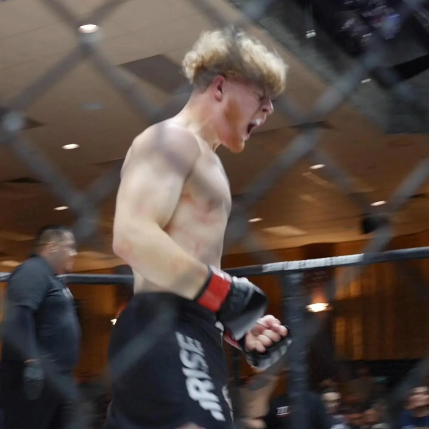 @spencersullivan7 with a ground and pound TKO! 🥊😤🥊
.
(Full fight on my YouTube link in bio)
.
#fighter #mma #cagematch #octagon #fight #fighters #tko #espnmma