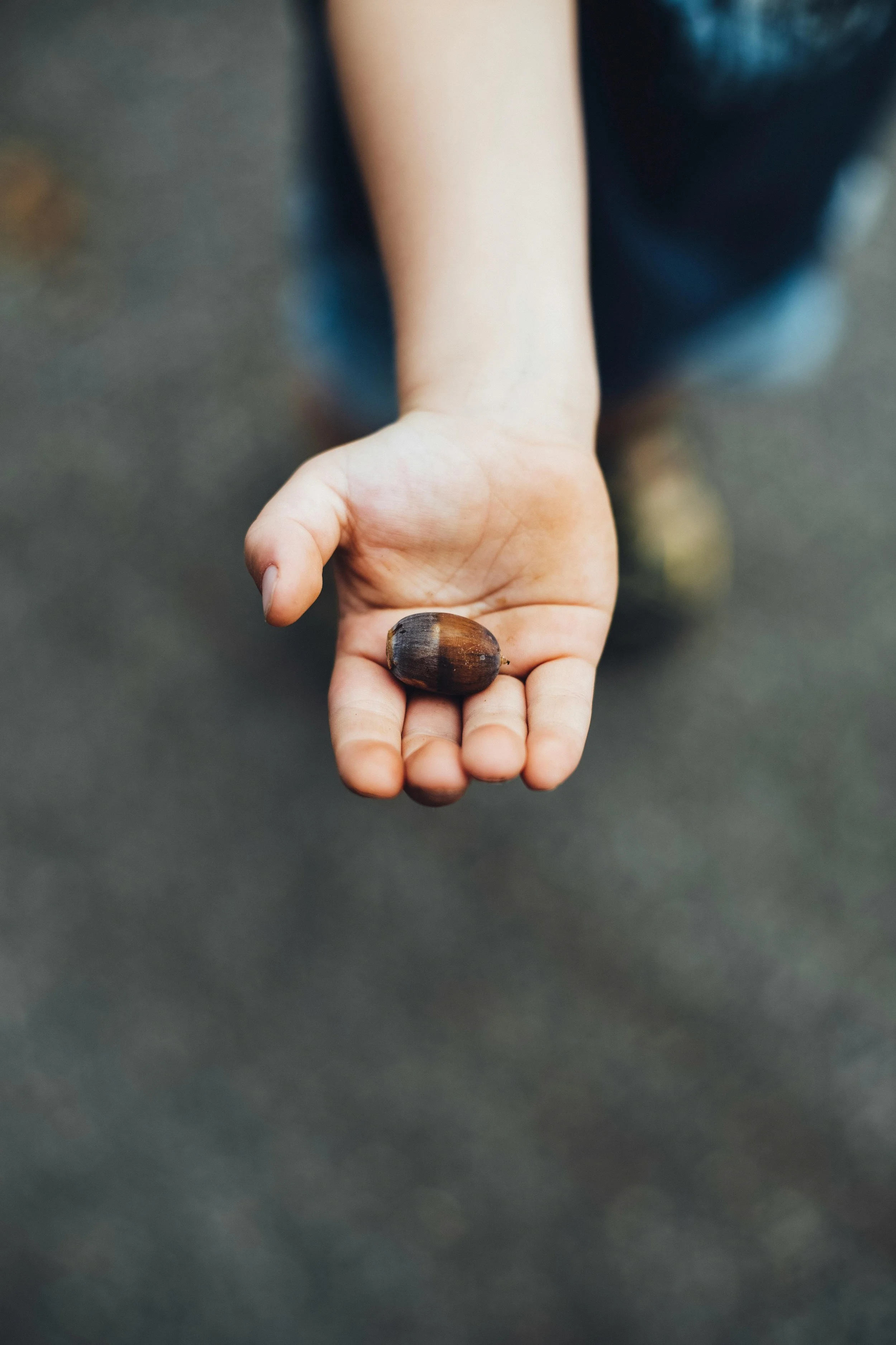 Little Seeds.jpg