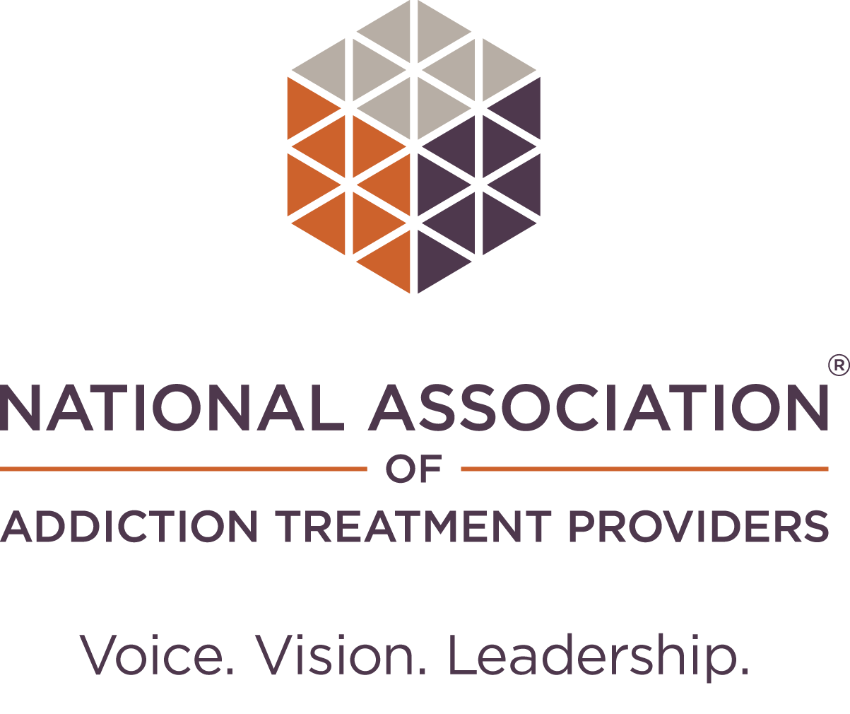 The National Association of Addiction Treatment Professionals (NAATP) logo