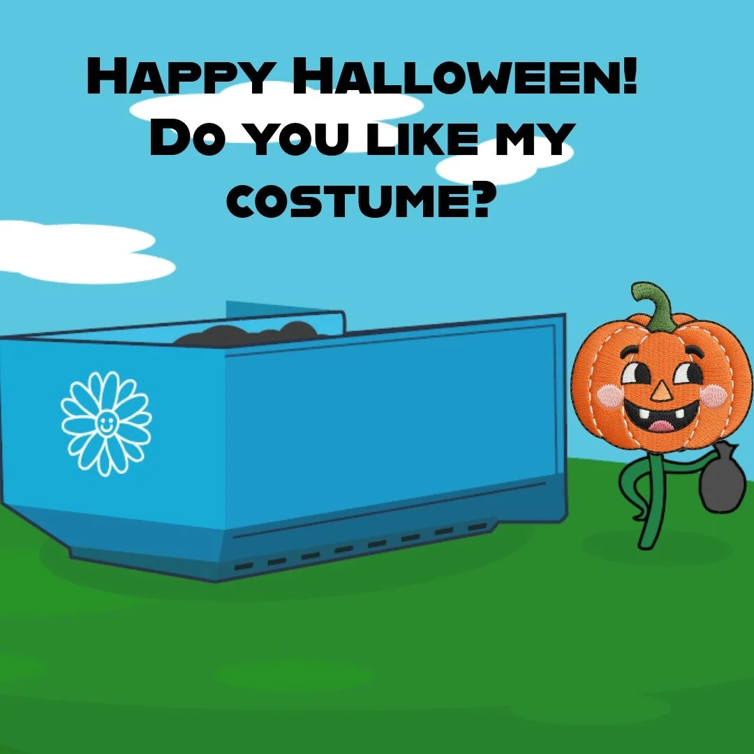 Time to do a clean-up and make room for holiday plans! Book onlin on our website or call/text 530-309-6959.