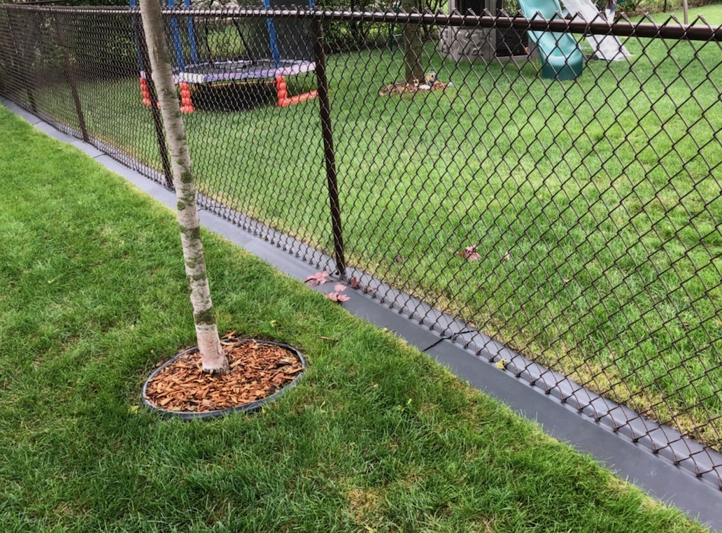 A chain-link fence surrounds a grassy area with a small animal, possibly a rabbit or squirrel, visible in the background. In the foreground, there is a young tree planted in a circular bed covered with mulch.