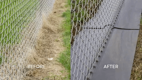 Comparison of a chain link fence before and after cleaning or repair, showing dirt and grime on the left and a clean, well-maintained fence on the right.
