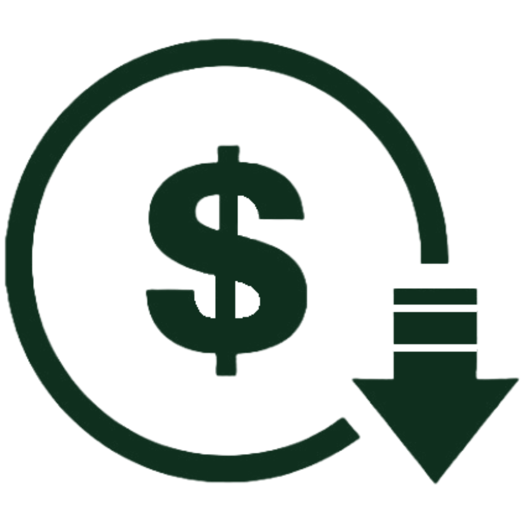 Icon of a dollar sign inside a circle with a downward arrow, representing a decline in monetary value or economy.