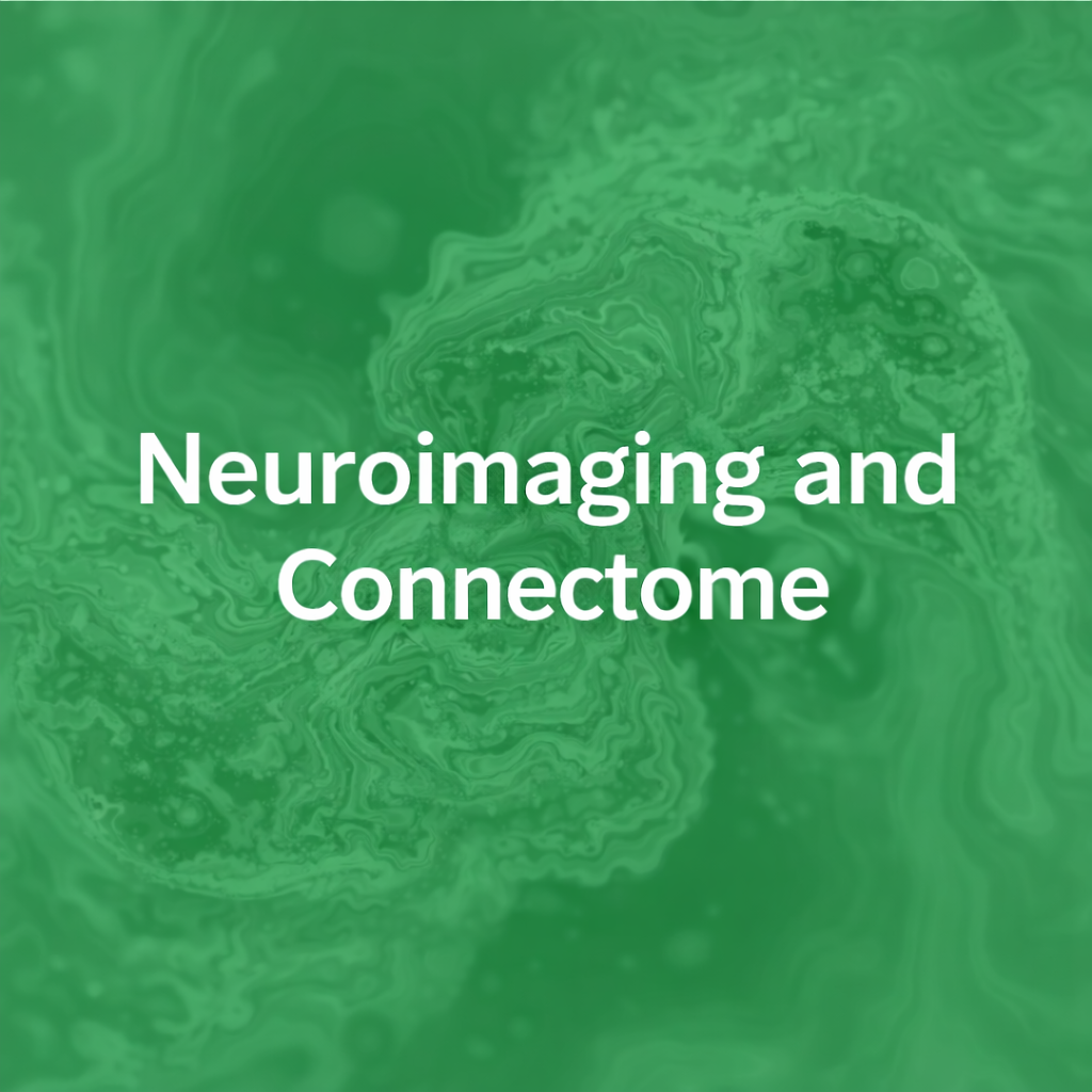 Neuroimaging and Neuronavigation