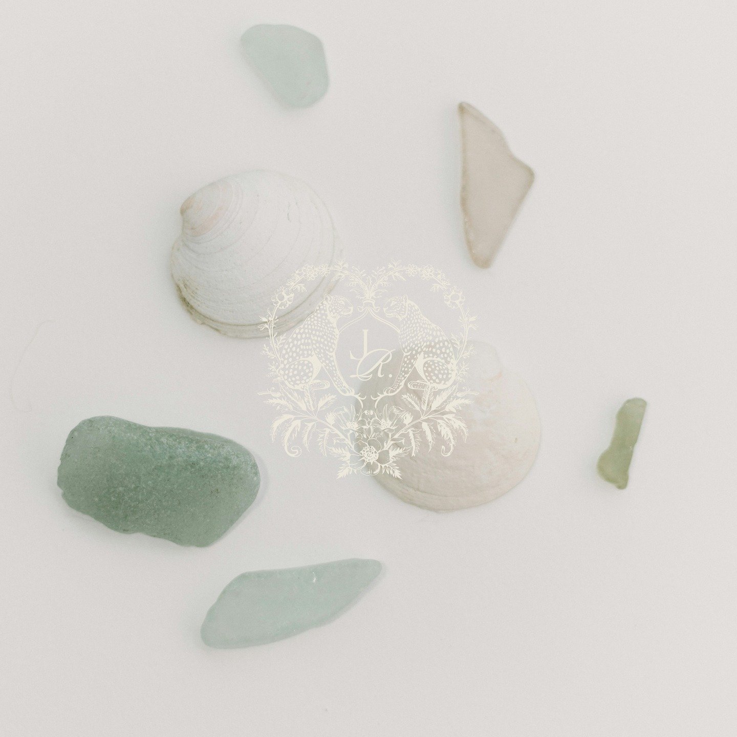 Gathering stillness in the everyday ... 
.
.
.
.
.
.
.
.
.
.
.
.
.
#inspirations #summer2025 #julieromerodesigns #julieromero