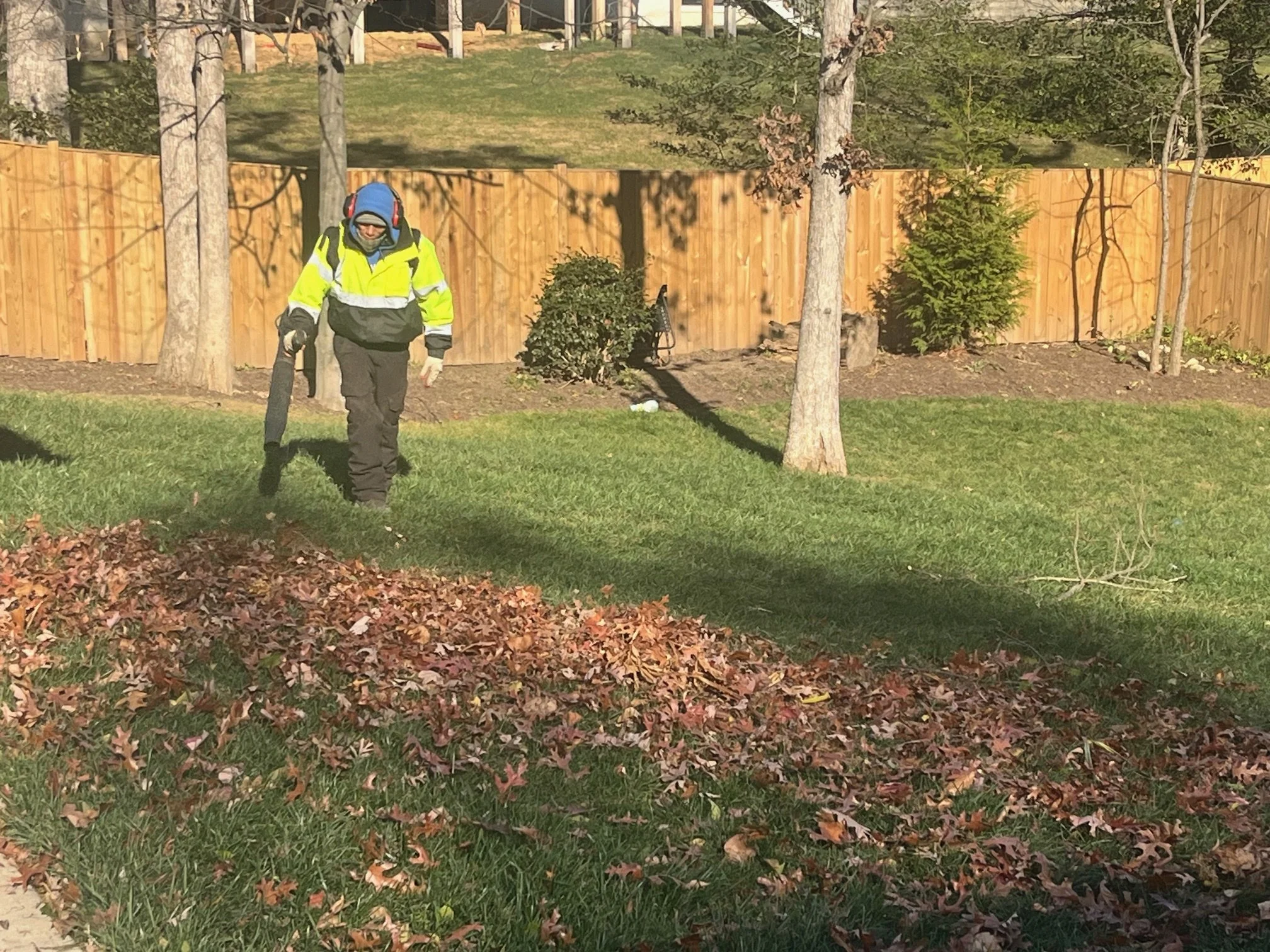 A person wearing a yellow high-visibility jacket, black pants, and a blue hat with red headphones is raking fallen leaves in a backyard enclosed by a wooden fence with trees and bushes.