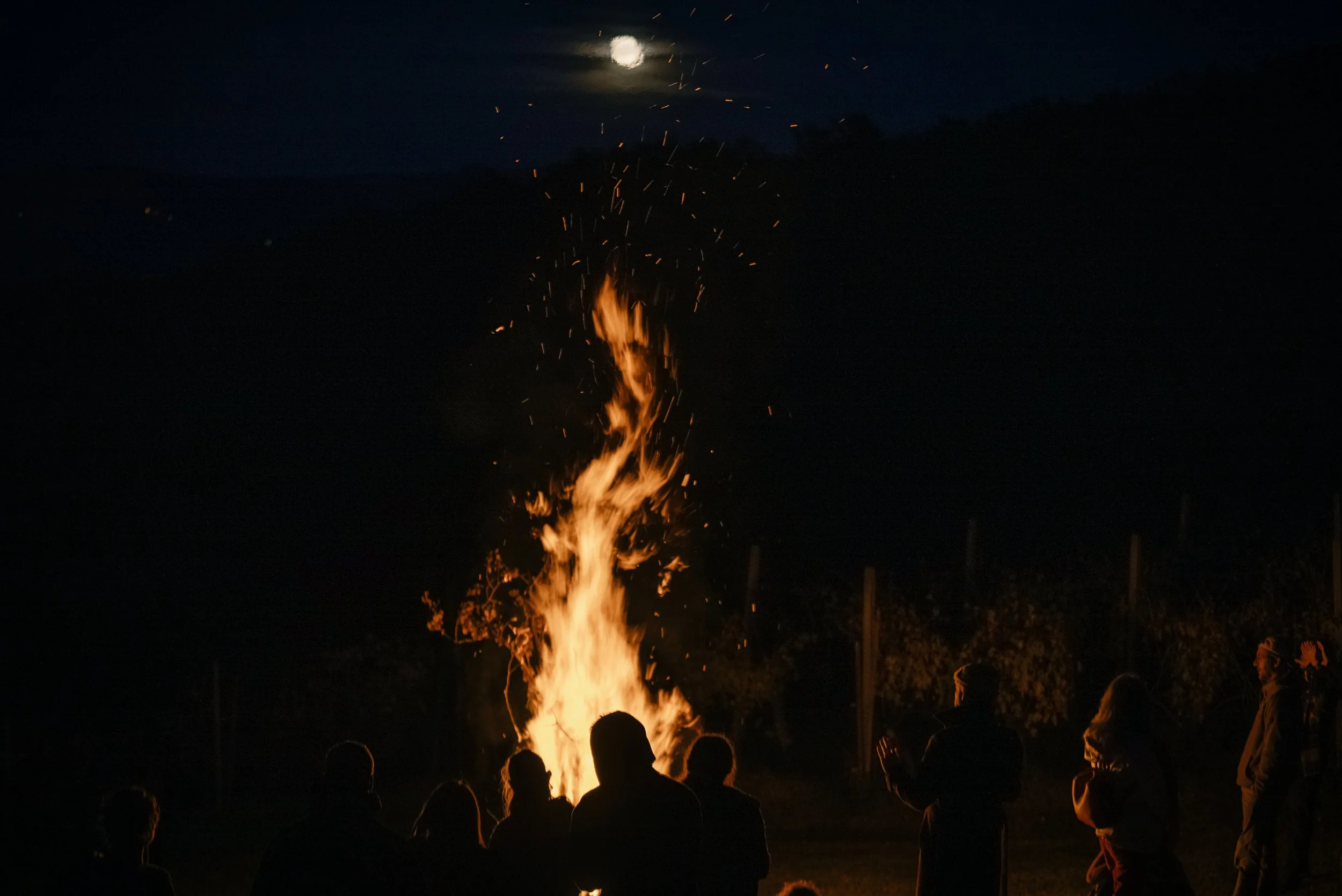 TTS_2024_November_13_Bonfire_00099.jpg