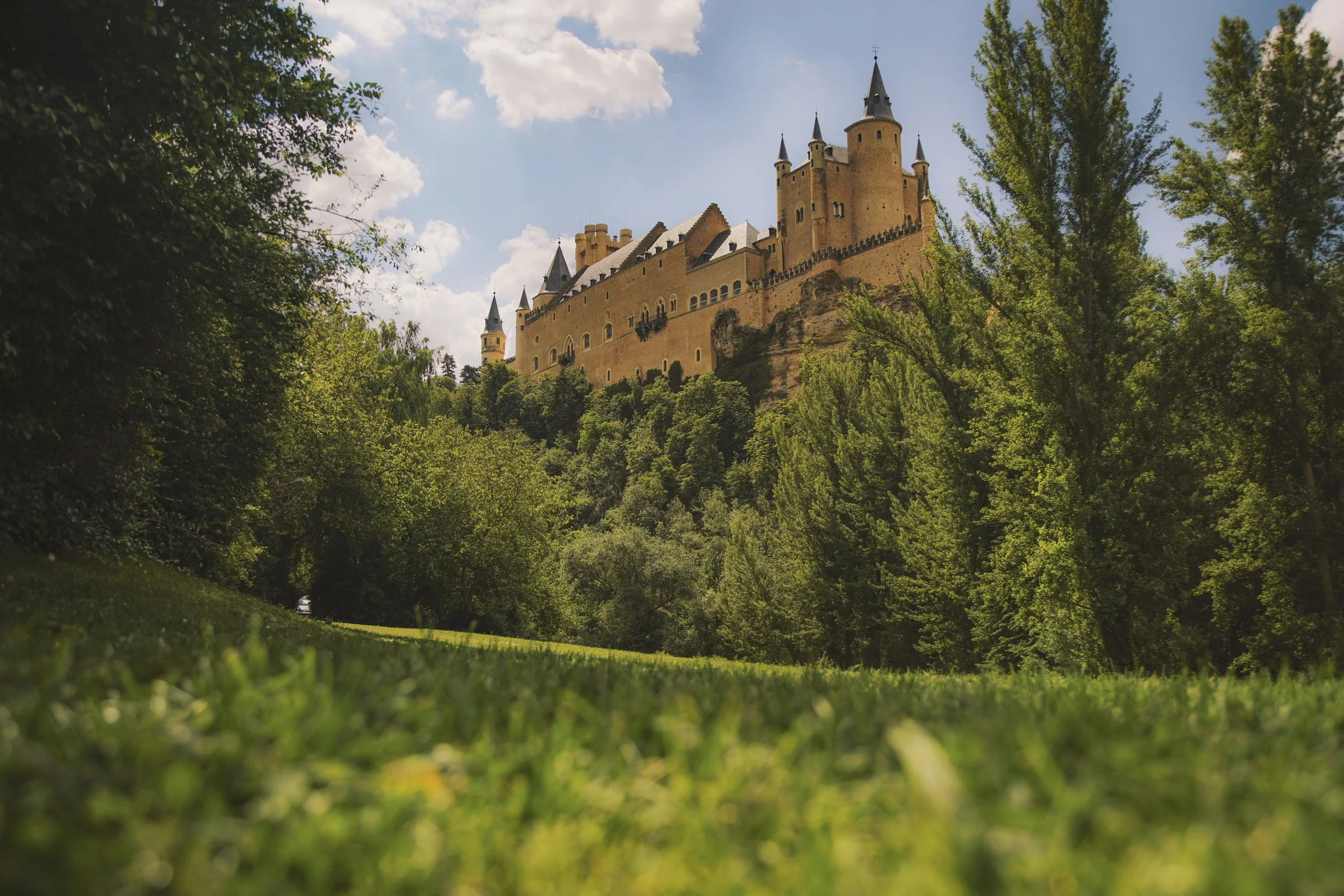 Segovia_Castle_Grass_lores.jpg
