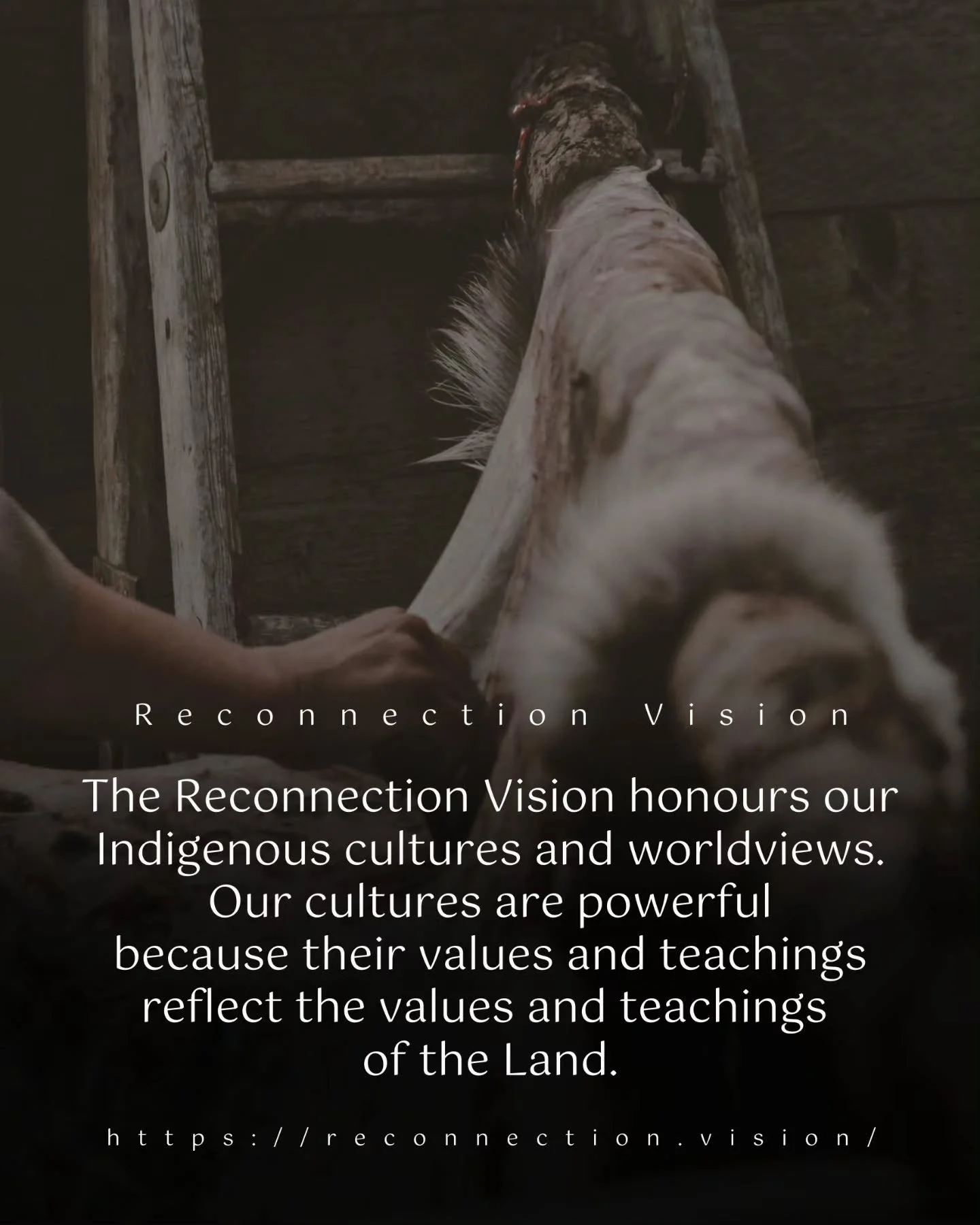 At Reconnection Vision, we honour Indigenous cultures and worldviews&mdash;powerful guides rooted in the wisdom and values of the Land. These teachings remind us to live in balance, respect all relations, and carry forward the knowledge that sustains