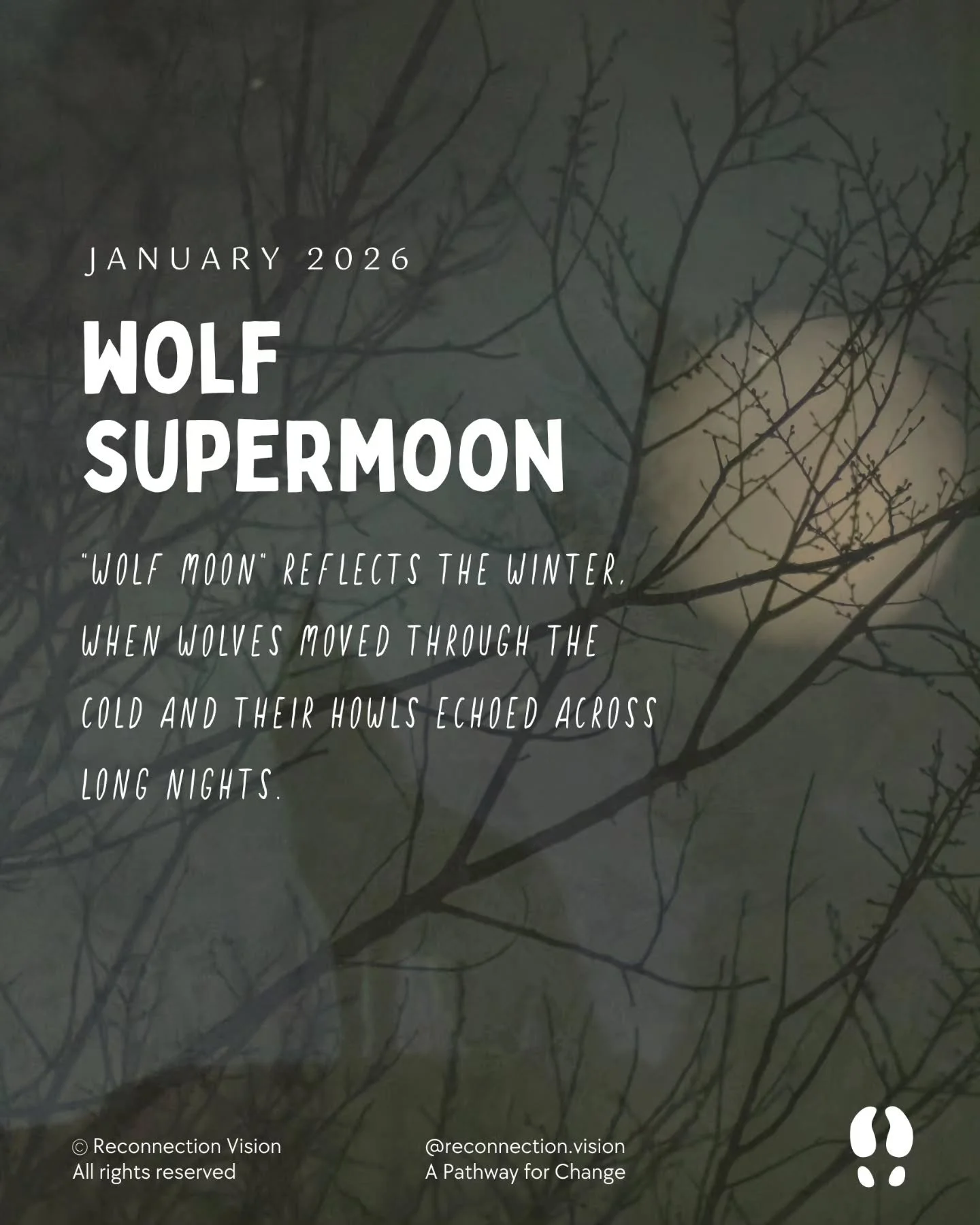 The first Full Moon of 2026 is a Supermoon!

The Wolf Supermoon is the first full moon of the year. Named for the wolves often heard howling in winter nights, it appears bigger and brighter tonight. Take a moment to enjoy its light, reflect on the ye