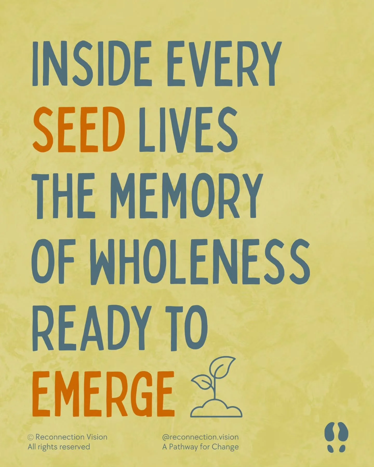 🌿 Inside every seed lives the memory of wholeness ready to emerge.

Learn about the Seeds of Reconnection.

Visit: https://reconnection.vision/

#ReconnectionVision #Seeds #InnerWisdom