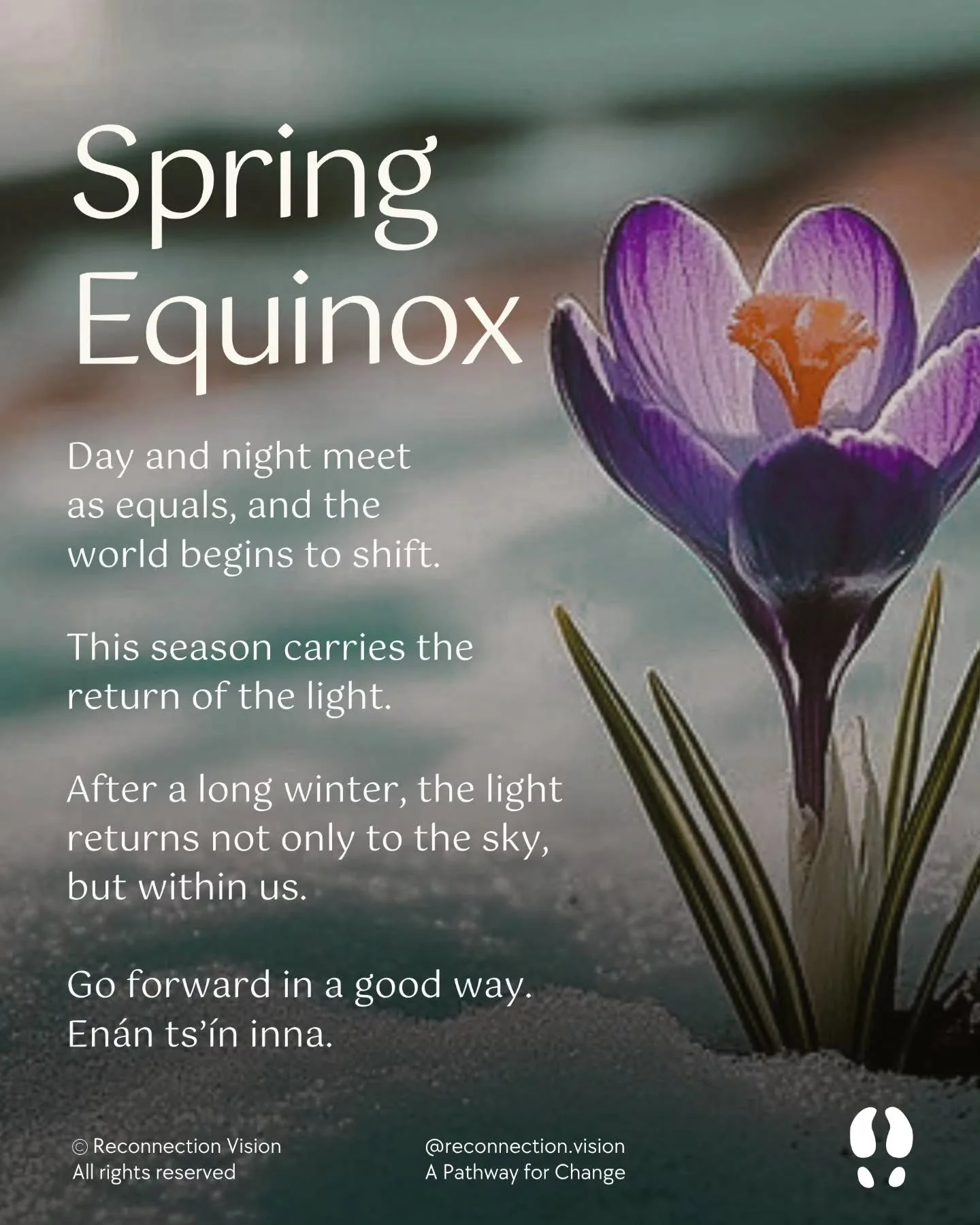 🌱 Today, as we welcome the Spring Equinox, we remember that this is a time of balance. 

Day and night meet as equals, and the world begins to shift.

It is a time of renewal and new beginnings.  This season carries the return of the light.

After a