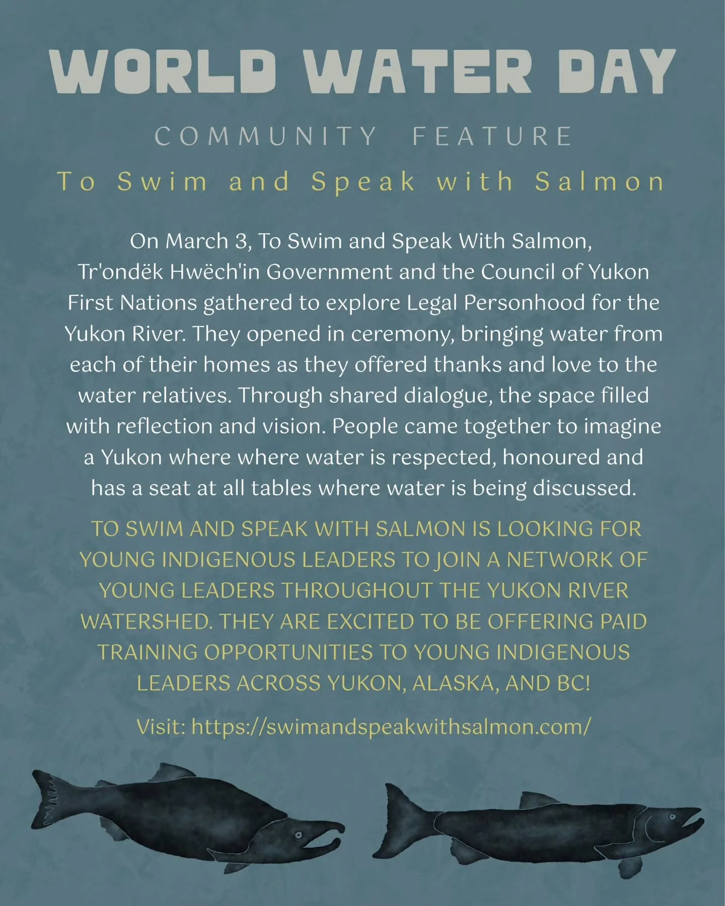 💧World Water Day | Community Feature | To Swim and Speak with Salmon

On March 3, To Swim and Speak With Salmon, Tr'ond&euml;k Hw&euml;ch'in Government and the Council of Yukon First Nations gathered to explore Legal Personhood for the Yukon River. 