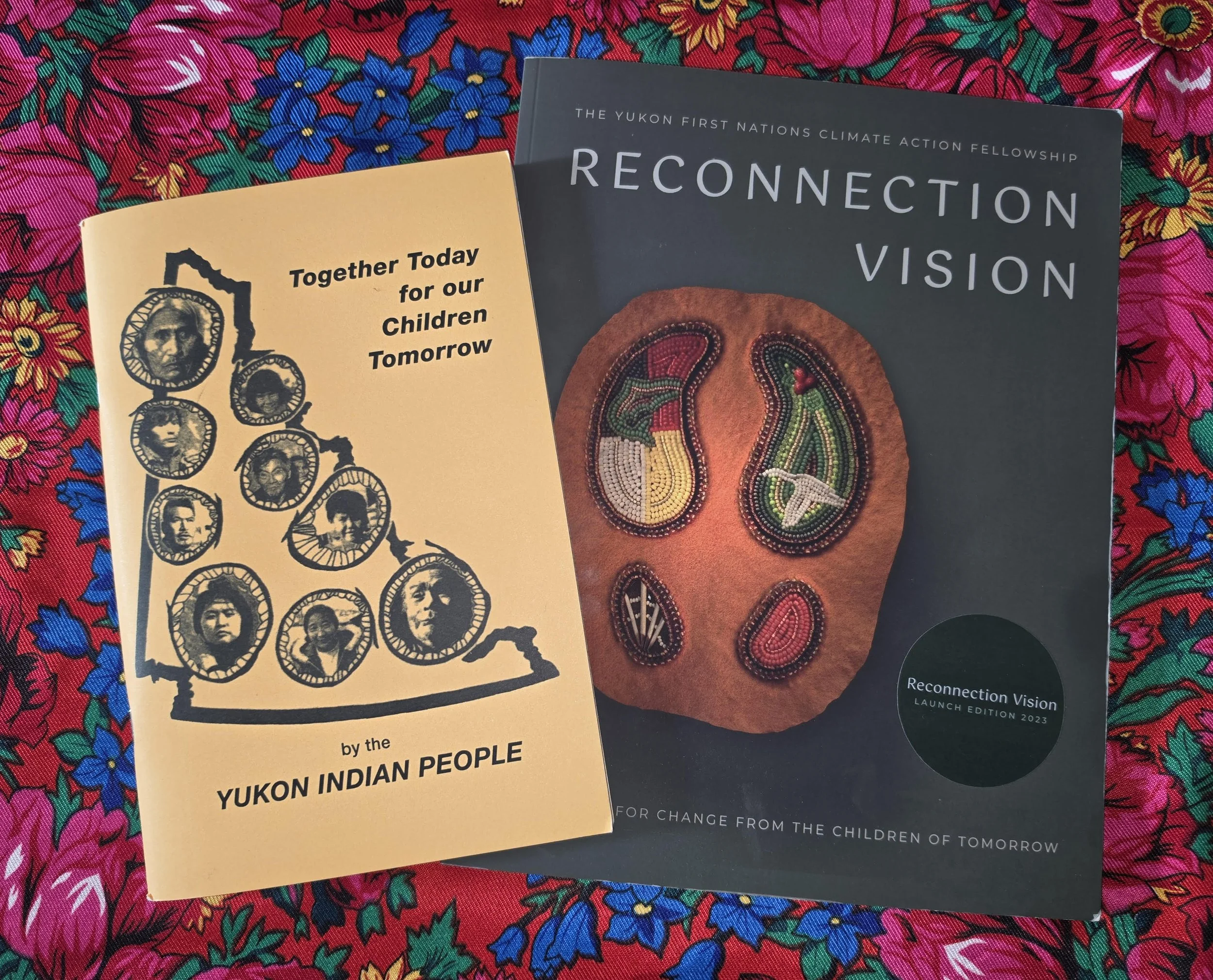 An Open Letter to Yukon First Nations Leaders: Our Emerging Leaders Are Watching