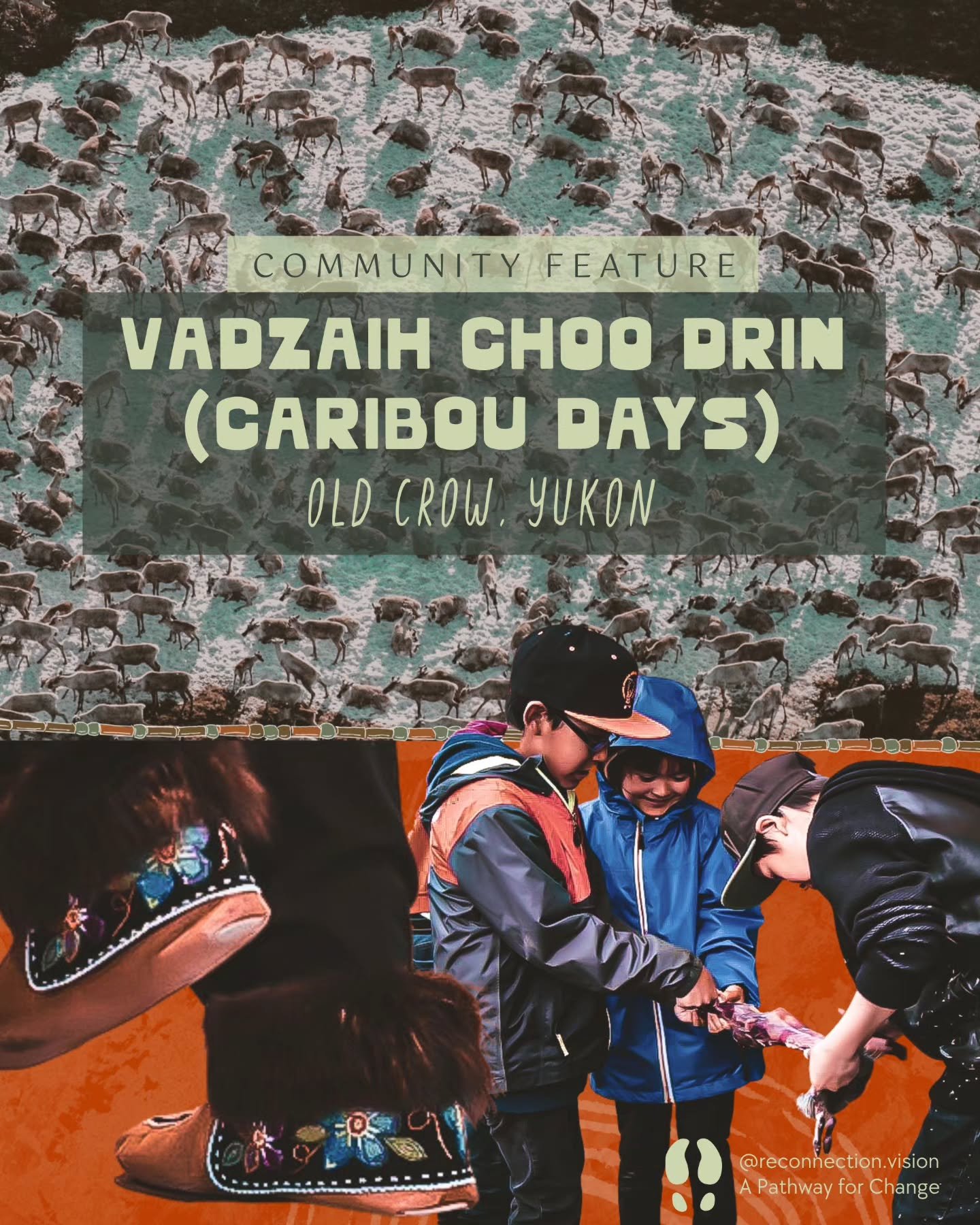 🌿 Community Feature: Caribou Days

Caribou Days, or Vadzaih Choo Drin (Big Caribou Days), is an annual celebration held every May long weekend in Old Crow, Yukon. The gethering was created to honour the Porcupine Caribou Herd and its importance to t