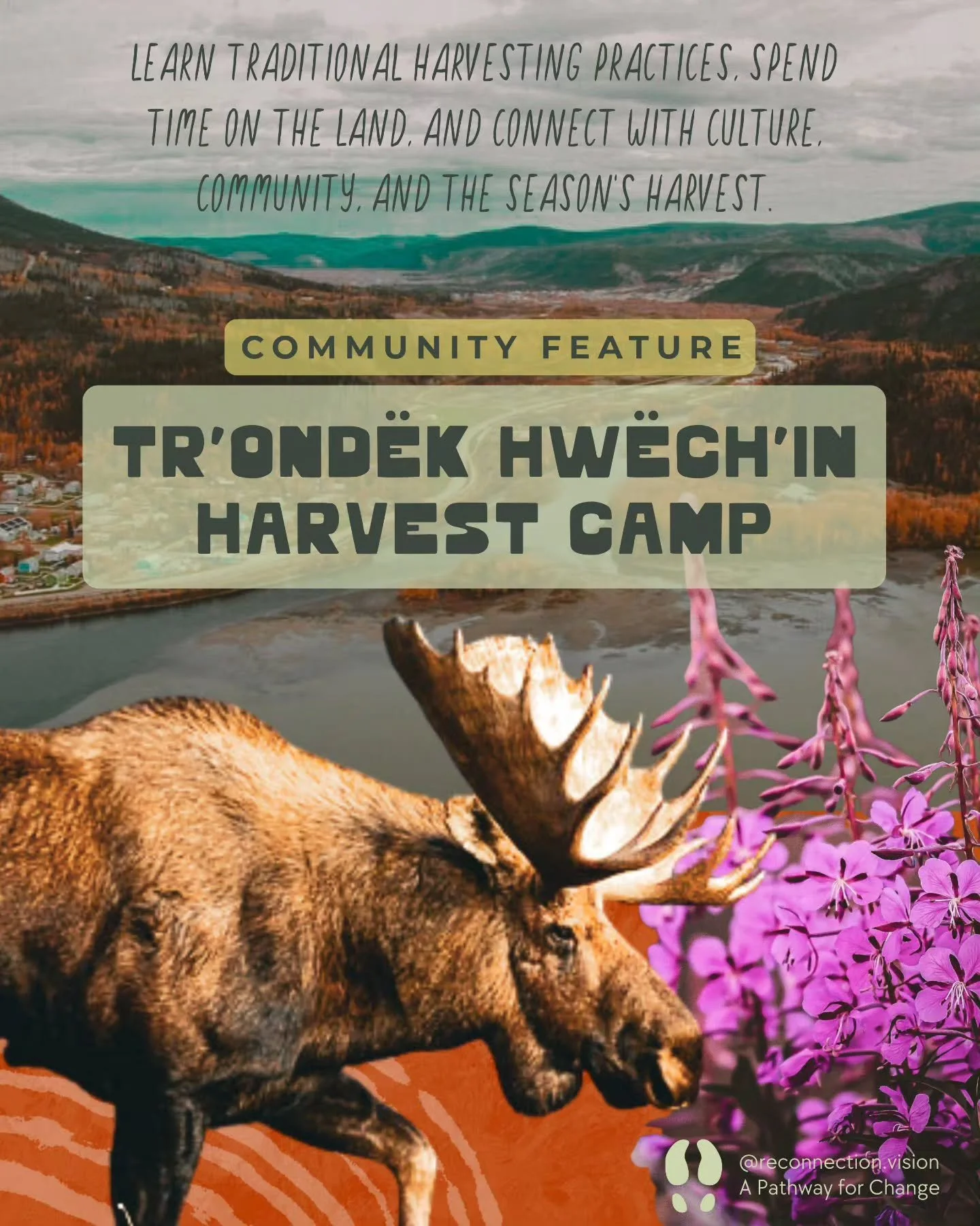 🌱 Community Feature | Tr&rsquo;ond&euml;k Hw&euml;ch&rsquo;in Fall Harvest Camp

The Tr&rsquo;ond&euml;k Hw&euml;ch&rsquo;in Fall Harvest Camp creates opportunities for youth to learn traditional harvesting practices, food processing, and preservati