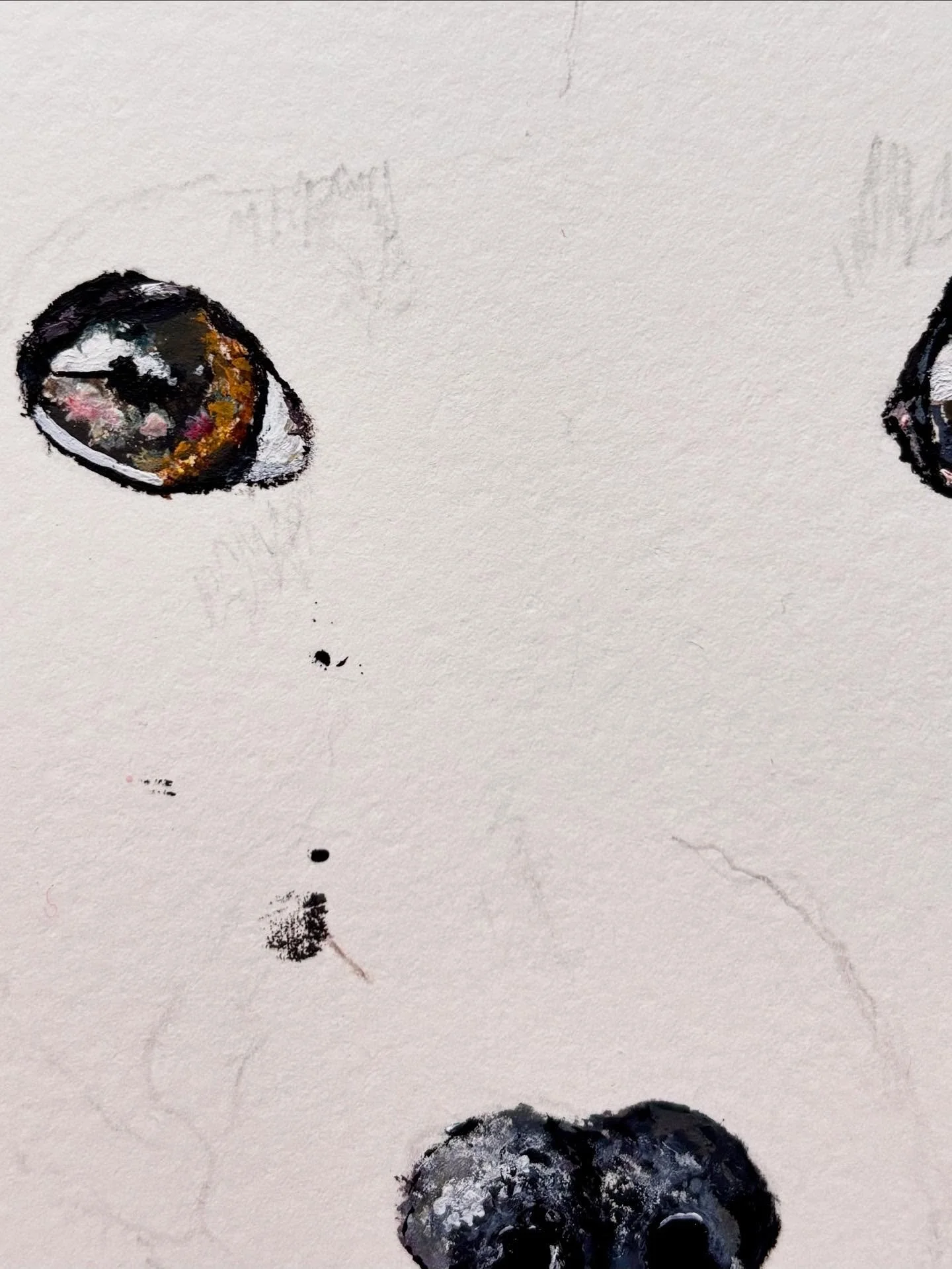 Hello, 

One again, I am working on this beautiful dog. This is my latest pet portrait commission( Chihuahua). I have completed the nose and the eyes 👀. 

I love seeing it slowly coming together. 

🐾More photos coming soon on its progress. Exciting