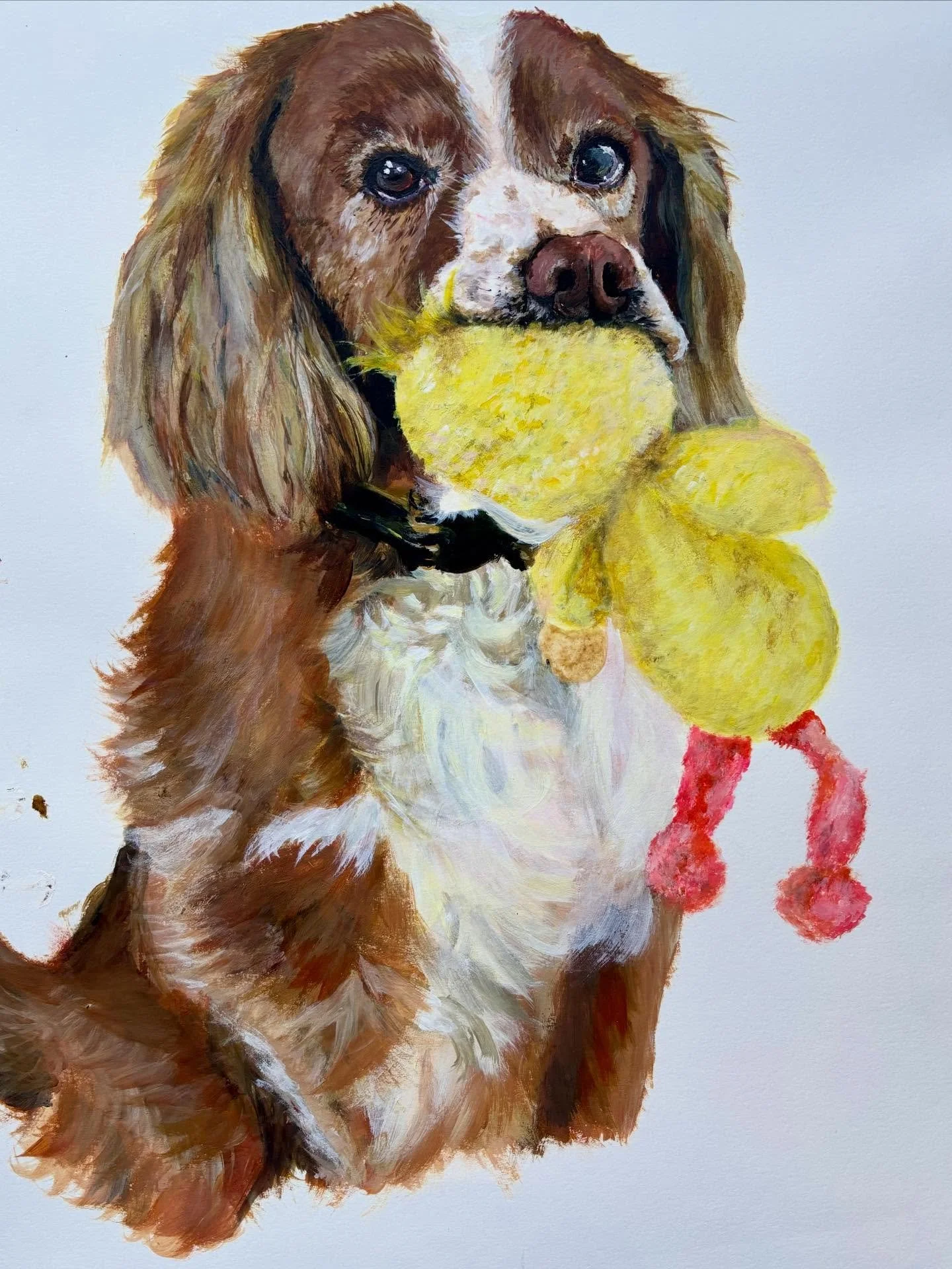 Happy new year everyone,🥳 

I hope all of you have had an amazing Christmas. 

I have not posted for a while, but the last few days, I have been carrying on with this beautiful painting of mine, of my cocker spaniel, Benji.

I am creating this paint