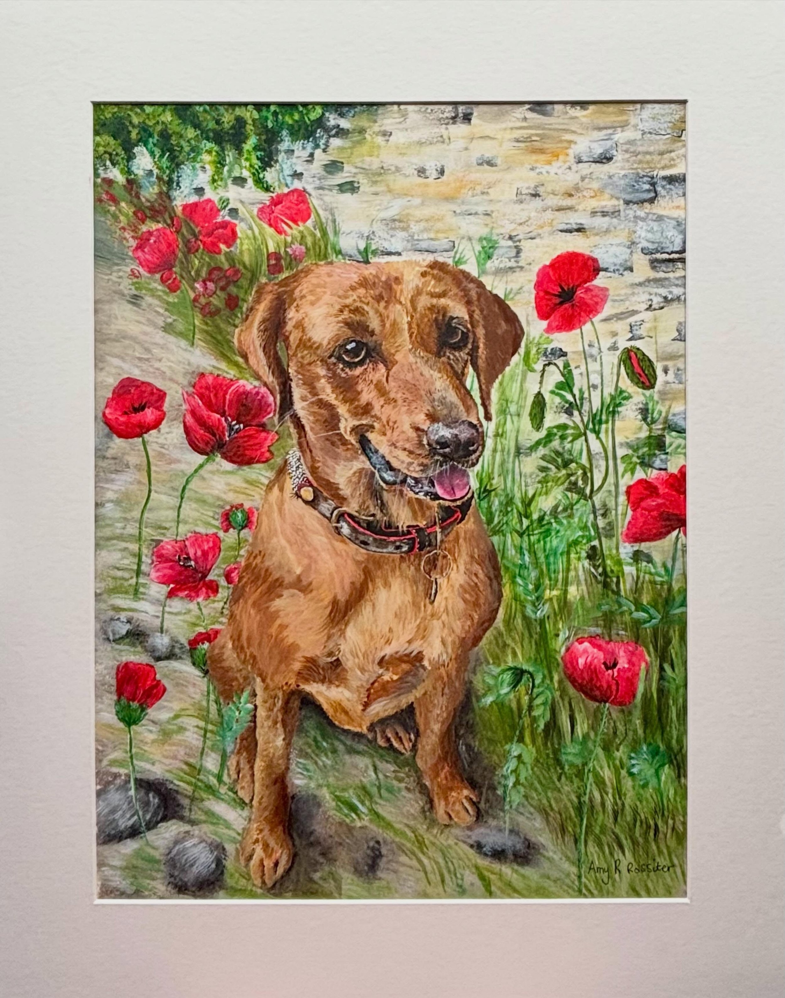 This is the beautiful Juno, which is my latest pet portrait painting commission. Painted in acrylic, this one really stood out to me with the background filled with red poppies, which matches the red on its collar. 🐾

#cornishartist #petportrait #co