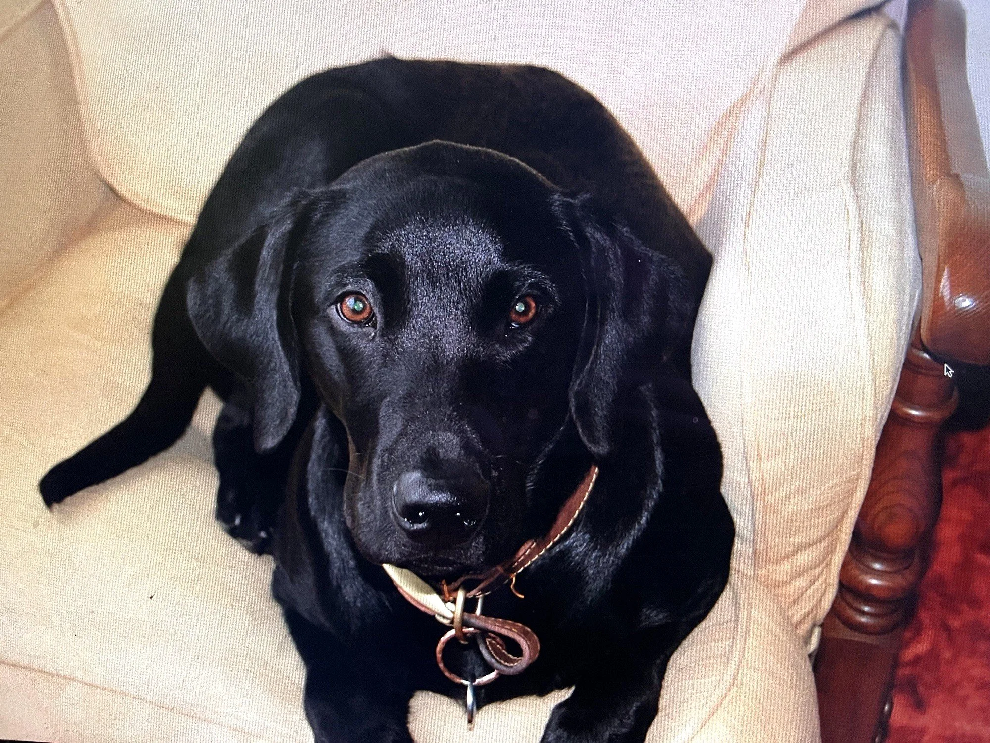 morgans painting.jpeg