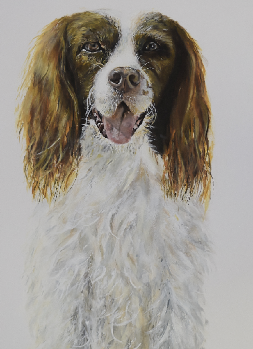 Close-up painting of a brown and white Springer Spaniel with long ears, smiling with open mouth, on a plain white background.