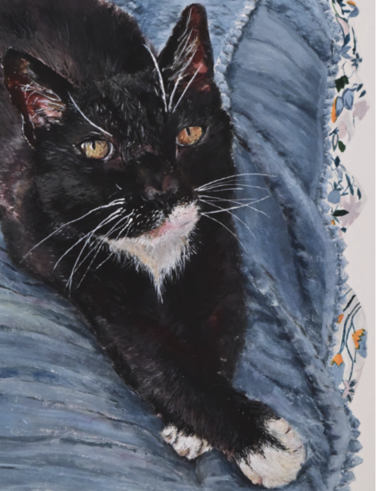 Close-up of a black and white cat with yellow eyes resting on a blue blanket.