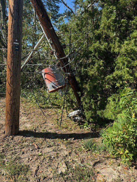 Downed utility pole with transformer and power lines fallen on a bushy area.