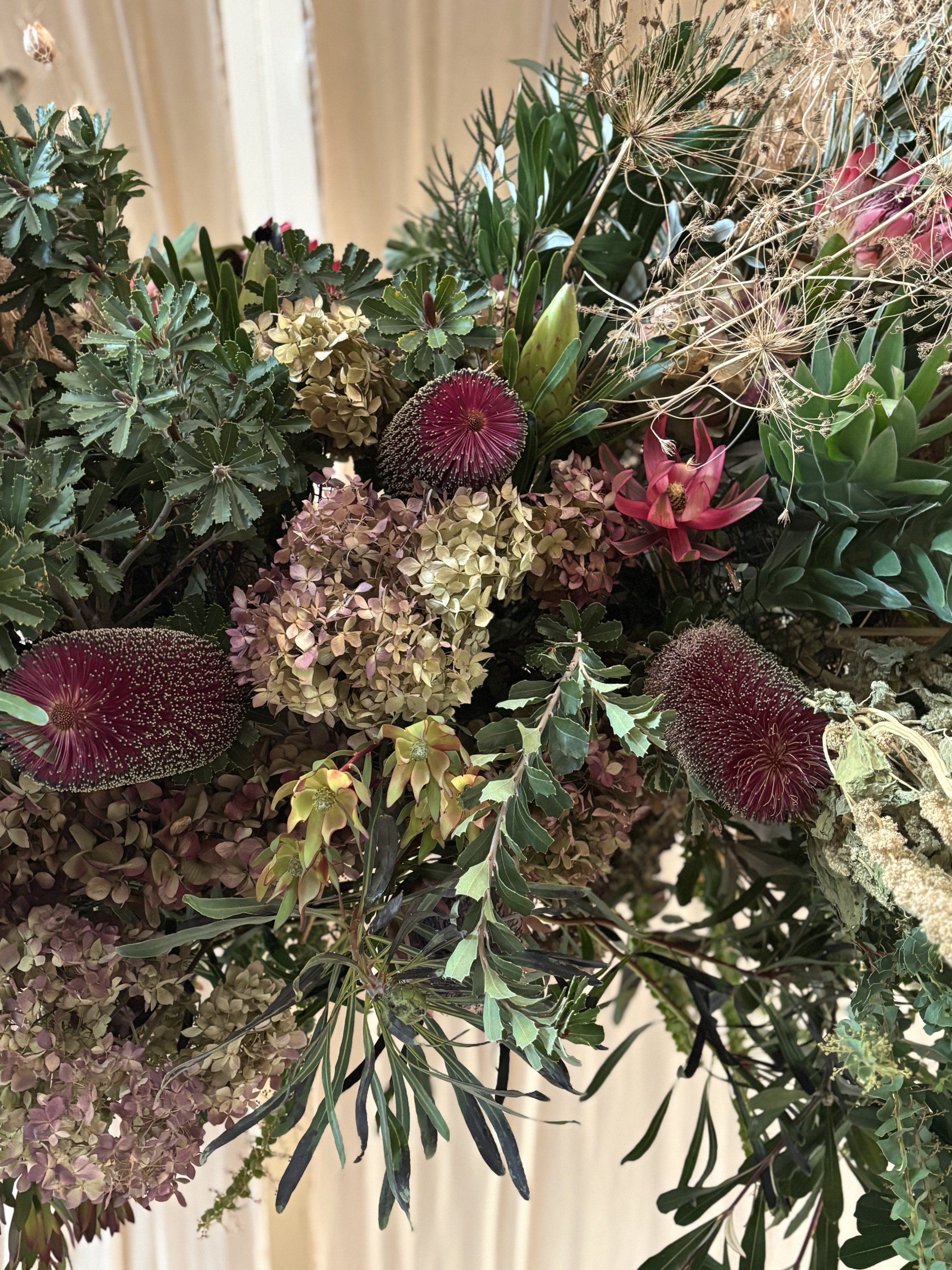 Photo of hydrangea, bottlebrush and protea flowers with foliage hanging from drapery in the Caspar Community Center on the Mendocino Coast